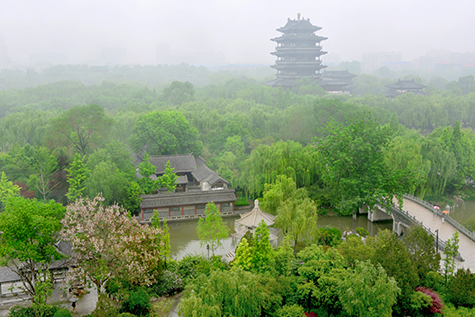 细雨超然.jpg