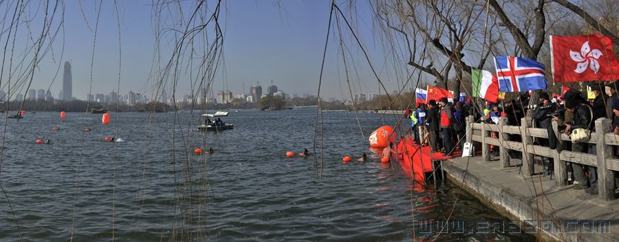 大明湖冬泳节.jpg