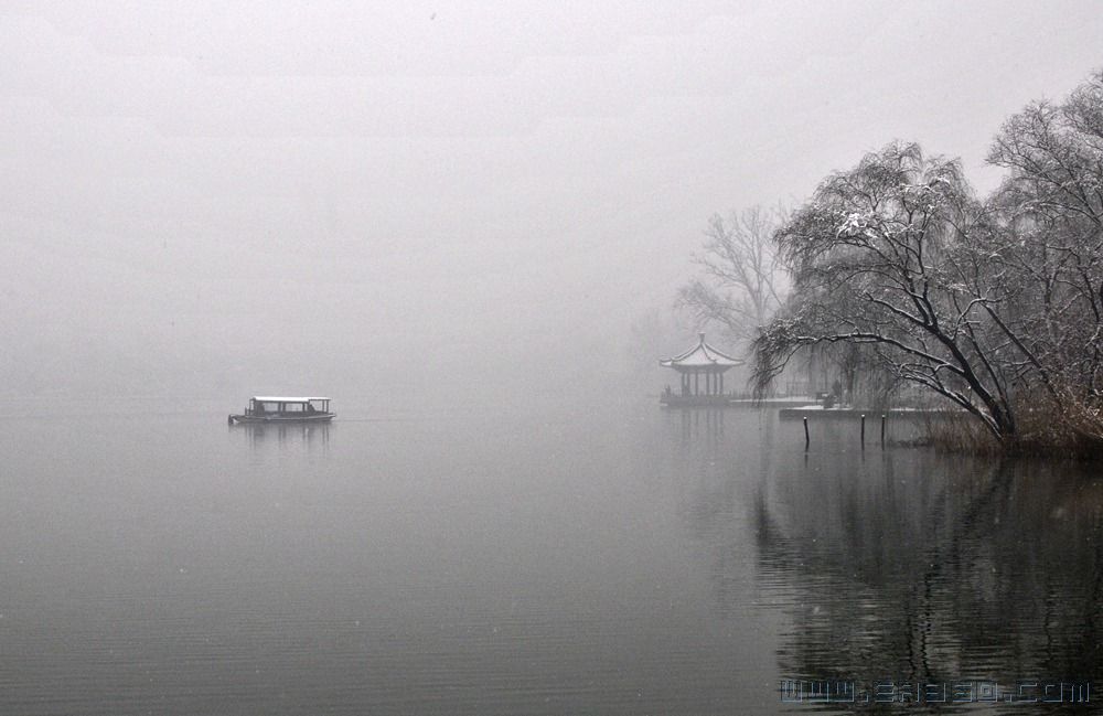 雪中小景.jpg