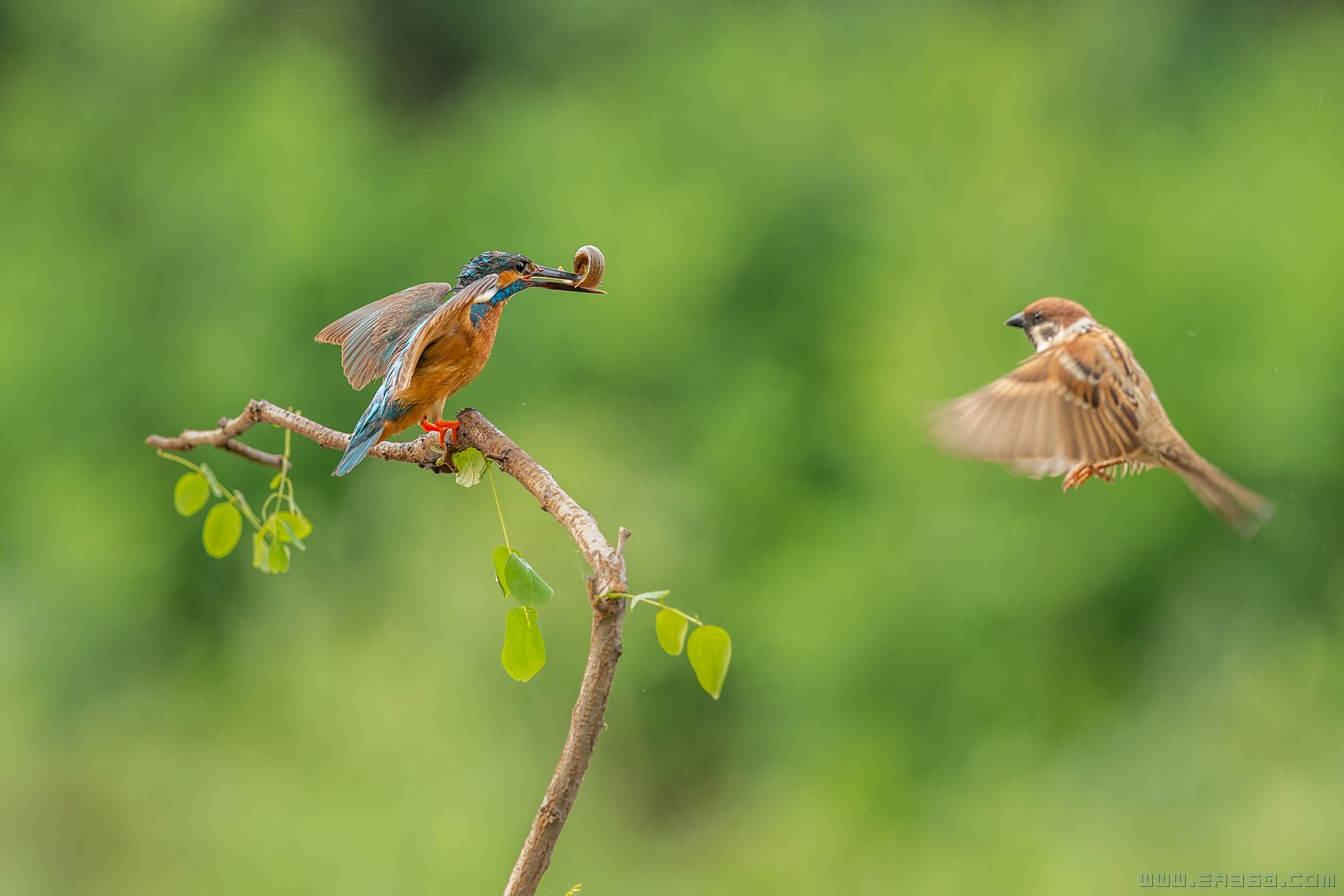 _dsc7058小1.jpg