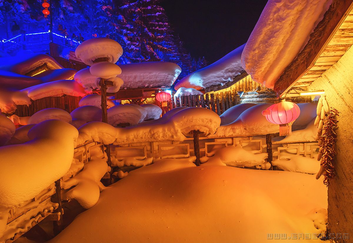 15 雷克《农家院的雪蘑菇-3》.jpg