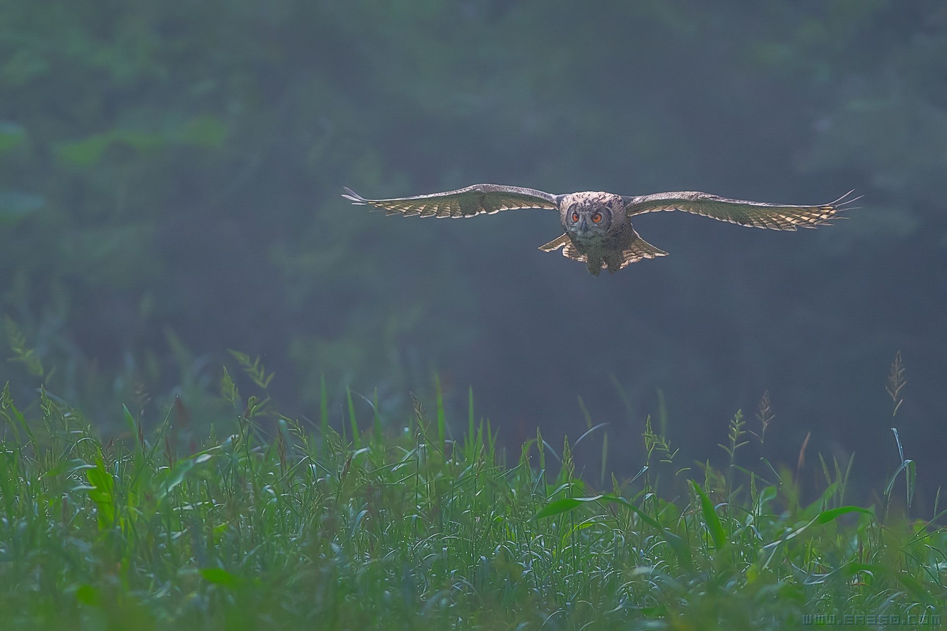 _dsc1808.jpg小又.jpg