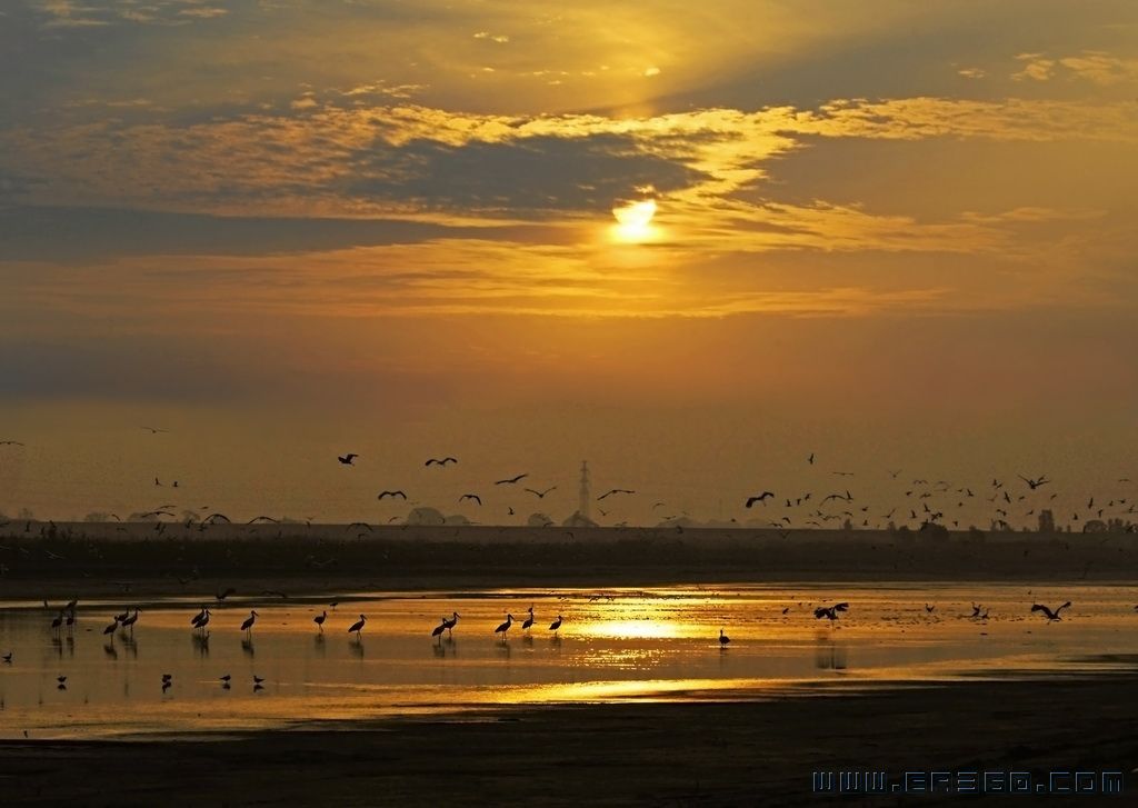 2013-5-17 湿地曙光 孙家勇.jpg