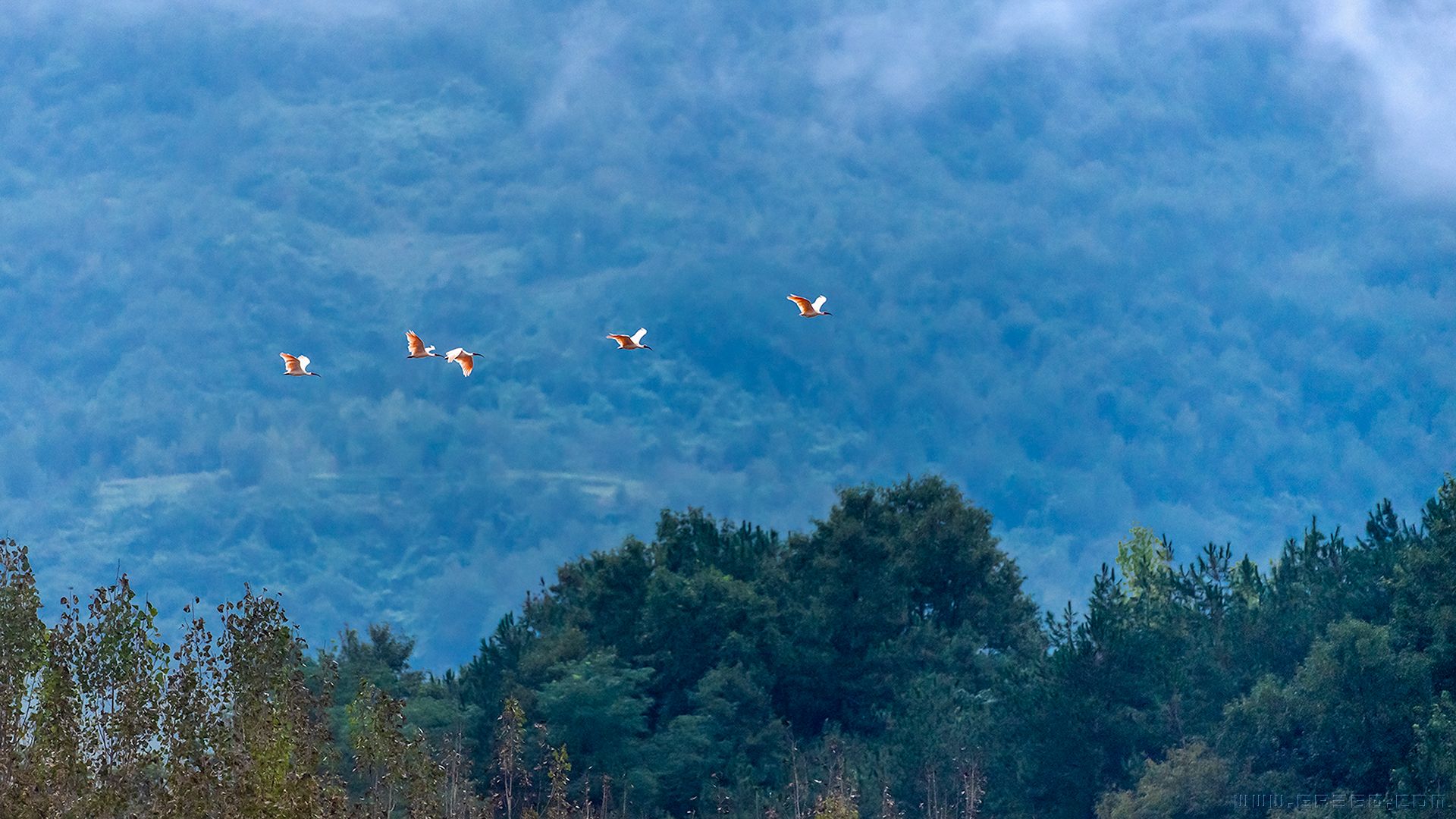 _dsc9410又小.jpg