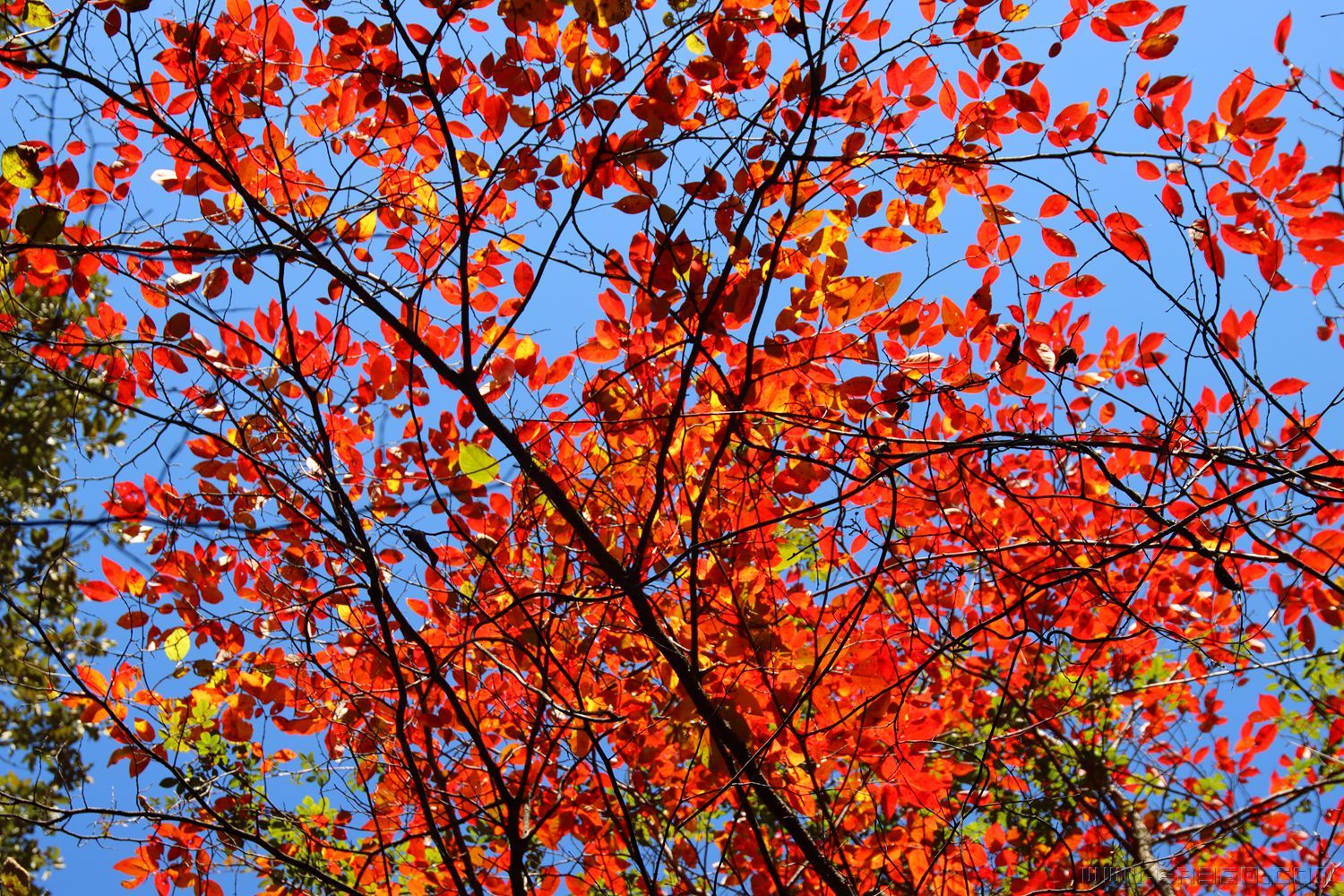 img_3196_副本.jpg