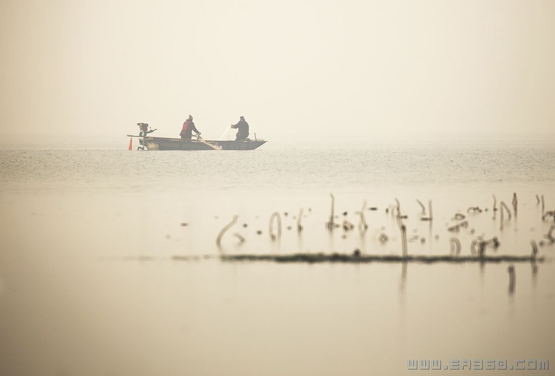 马丽《生态湿地》 (5).jpg