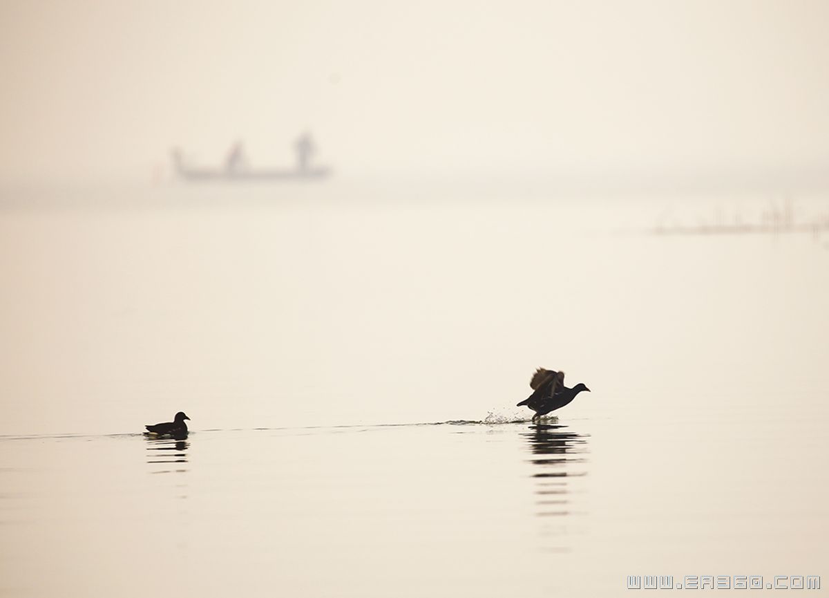 马丽《生态湿地》 (1).jpg