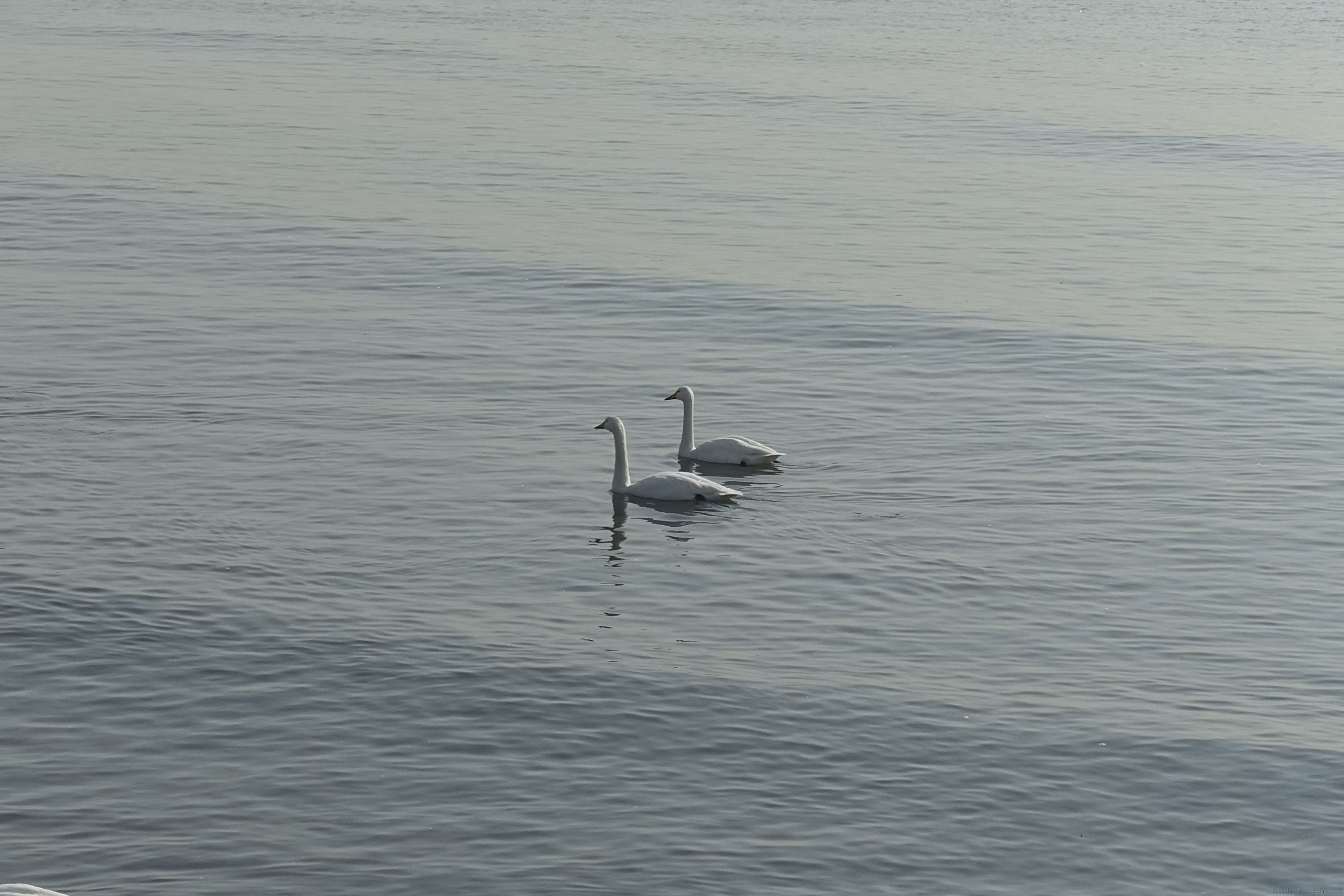 dsc08257副本.jpg