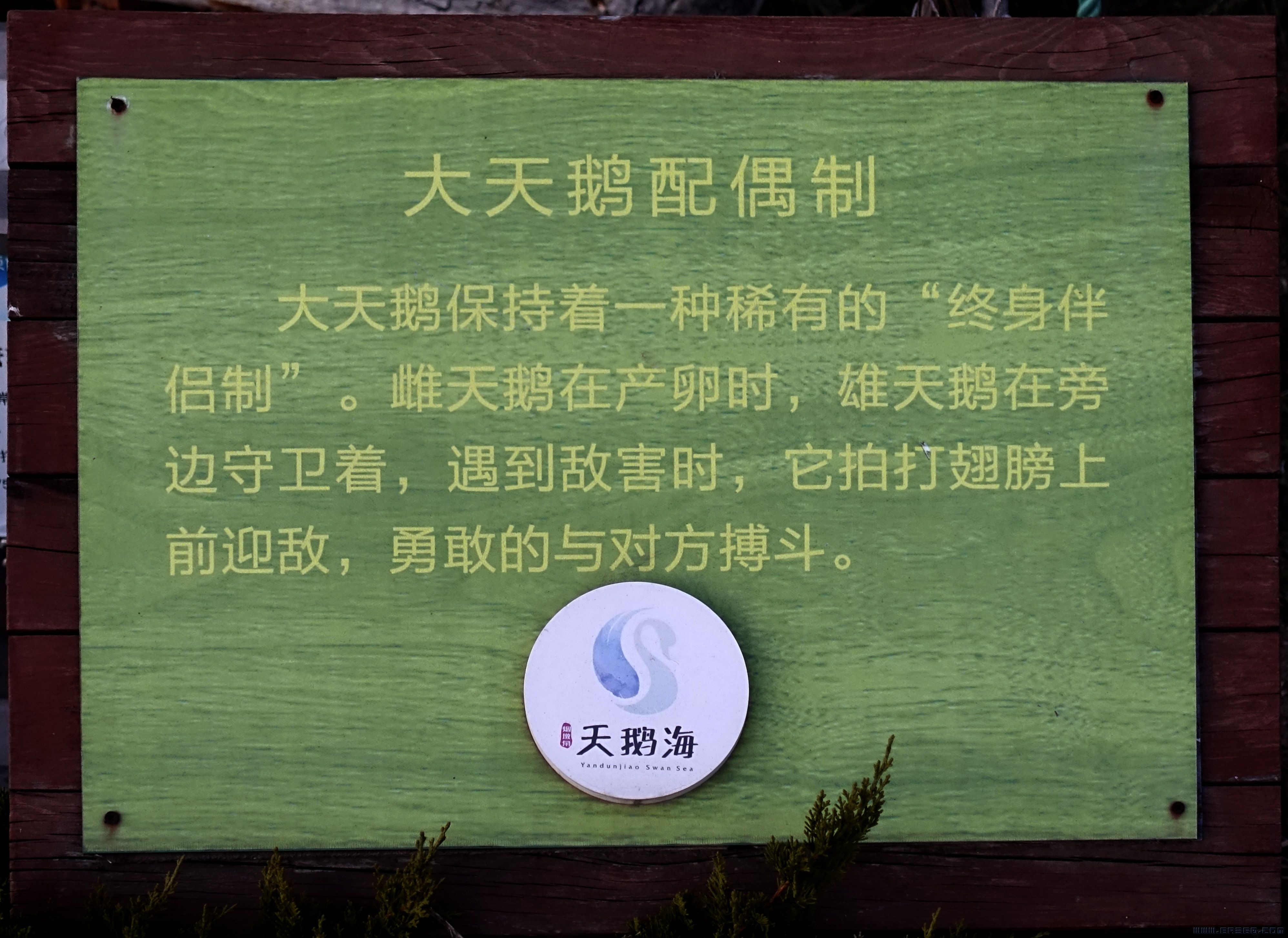 dsc08076副本.jpg