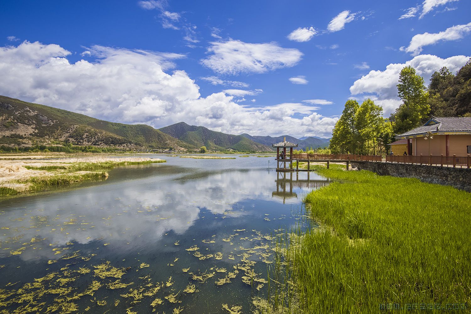 草海风景.jpg