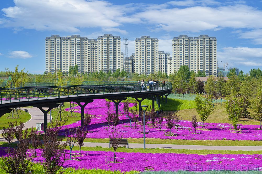 孙彩红《美丽家园》.jpg