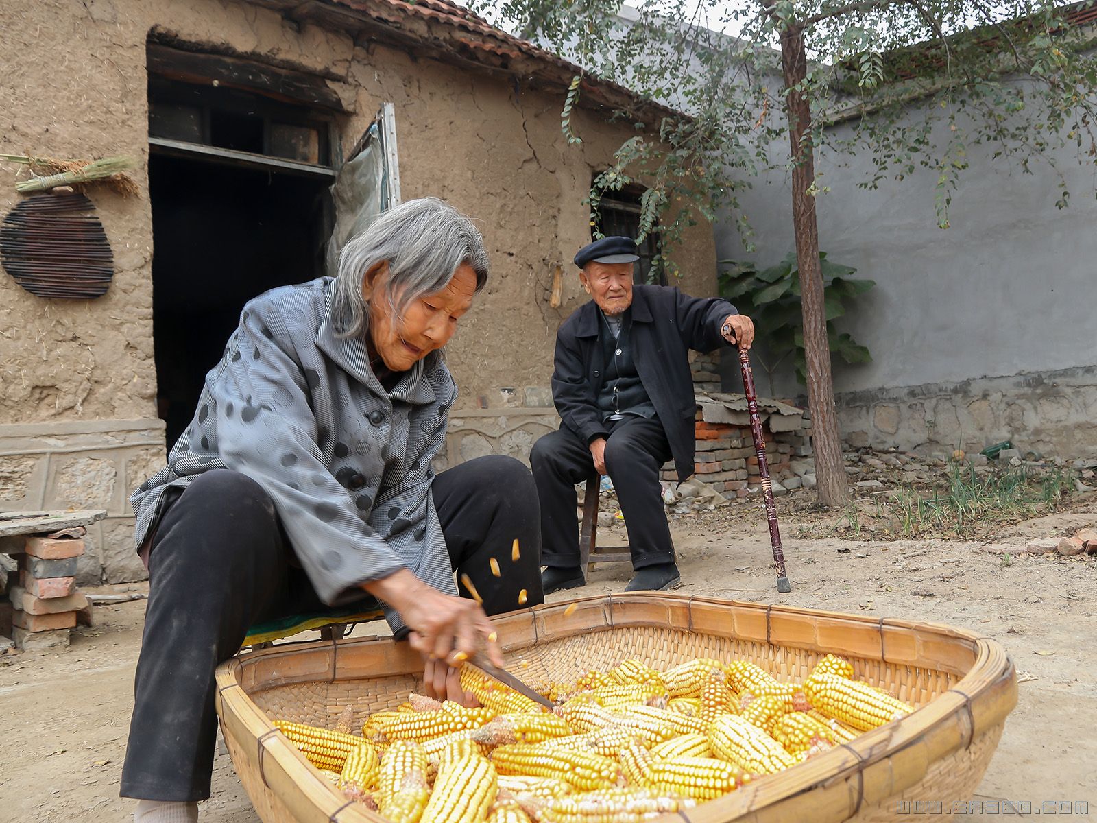 23张少英奶奶94岁了，在院子里剥玉米，后面是奶奶的四哥张成宗爷爷.jpg