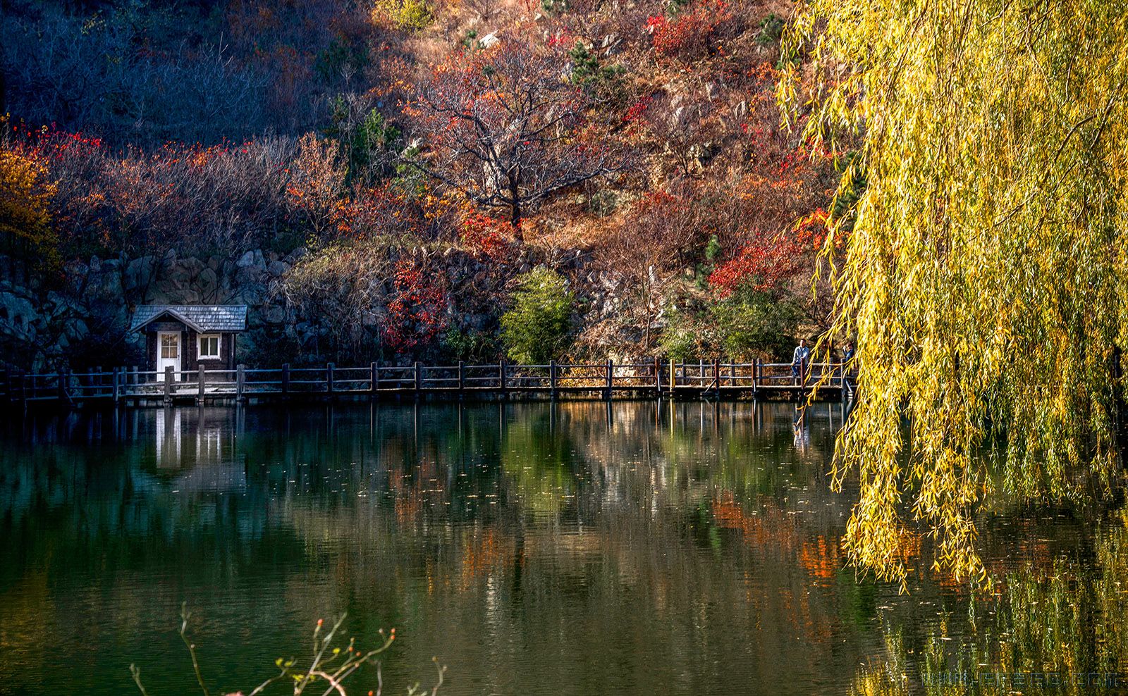 《醉美九如山》彭继成15165009977.jpg