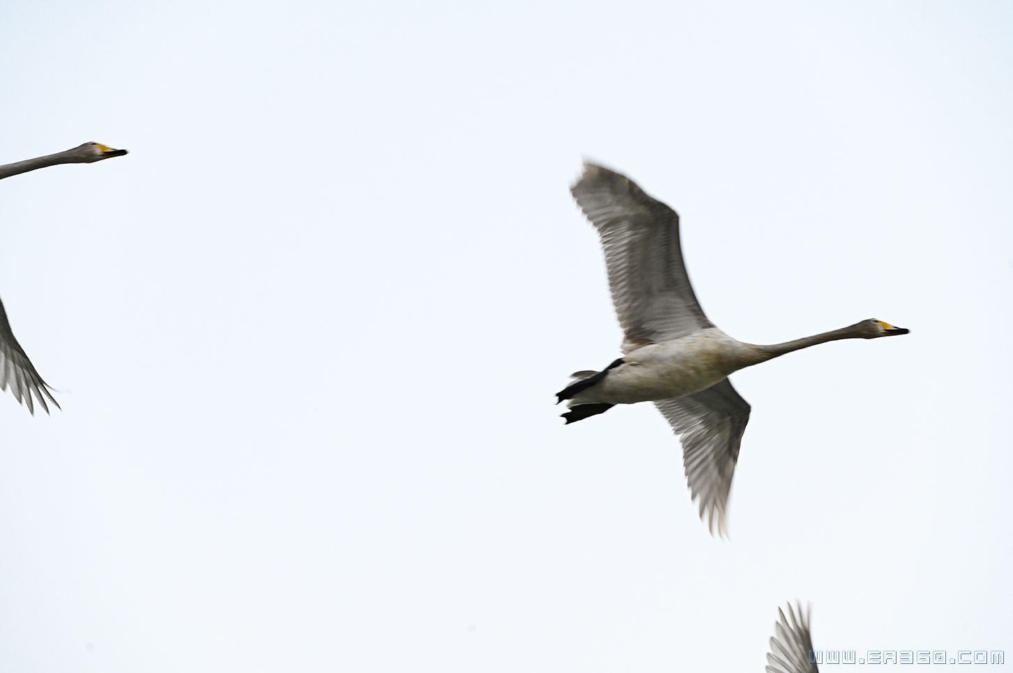 dsc_5105副本.jpg