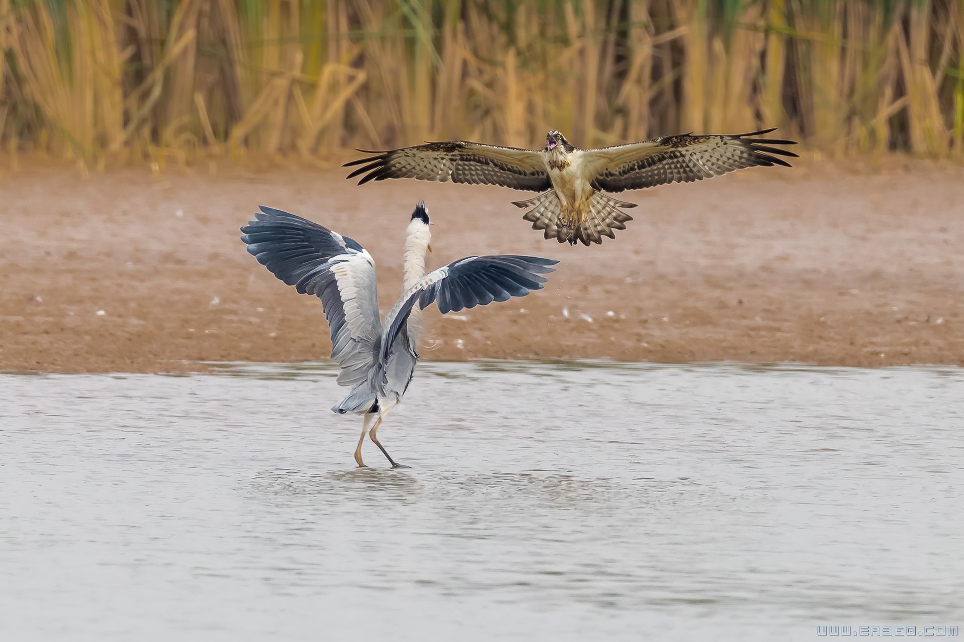 _dsc5316-编辑.jpg