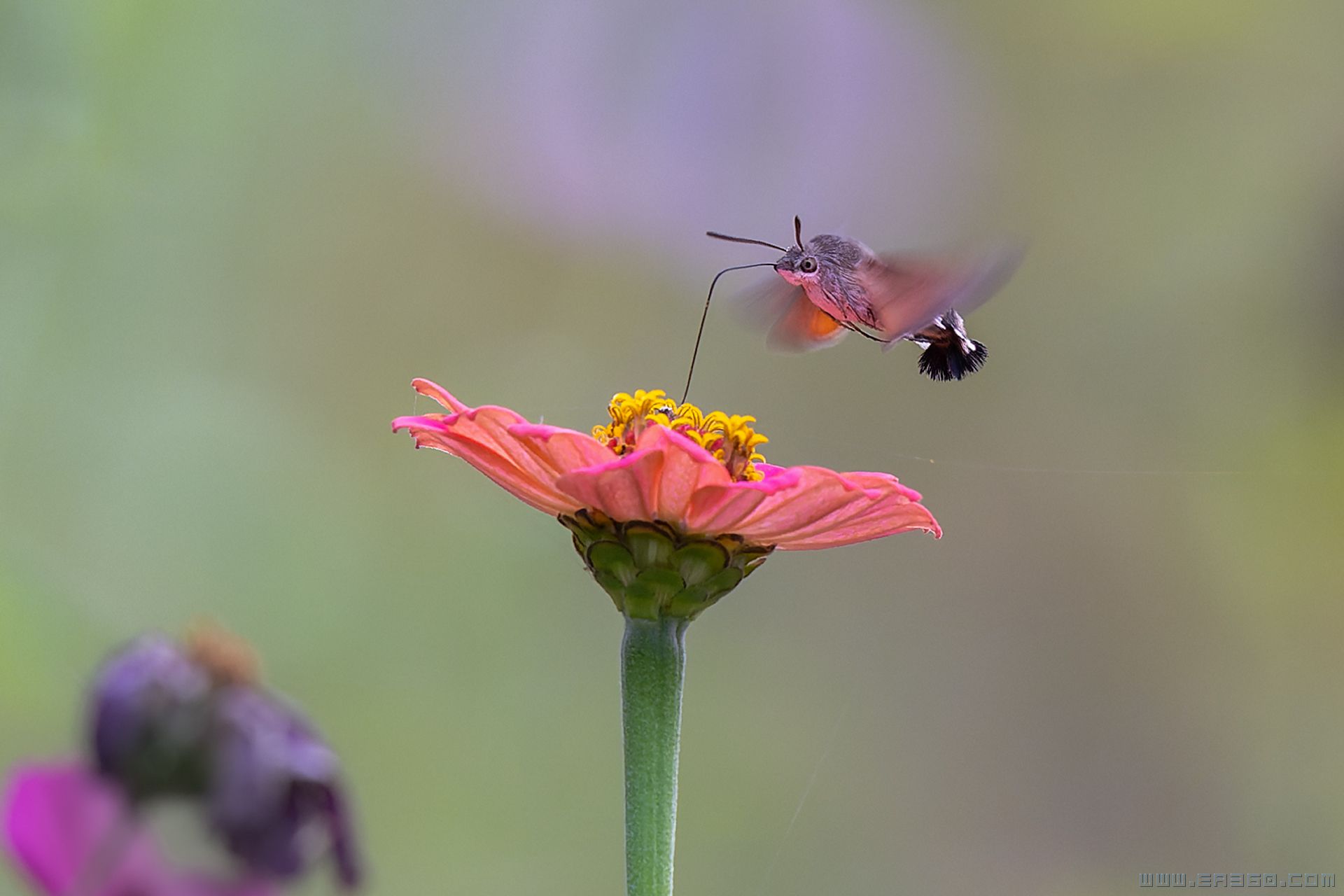 _dsc6454-小.jpg