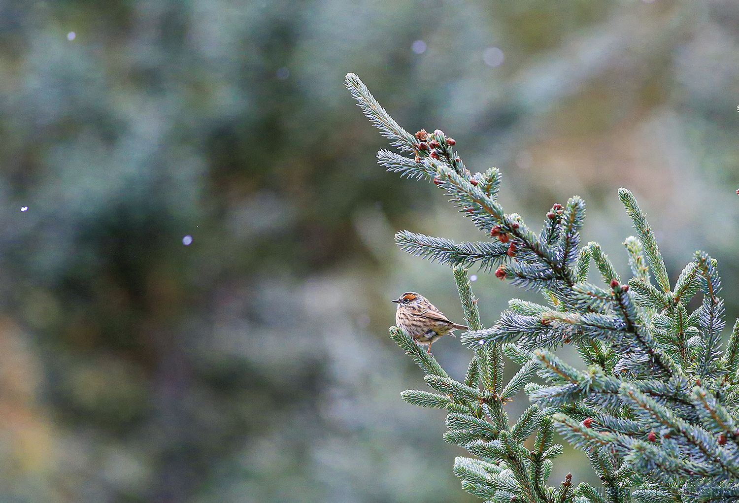 _mg_5844.jpg