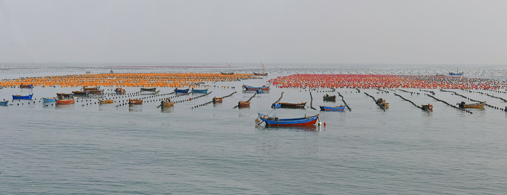 海上牧场  摄于旅顺塔河湾   孙静    18642668607_3_调整大小.jpg