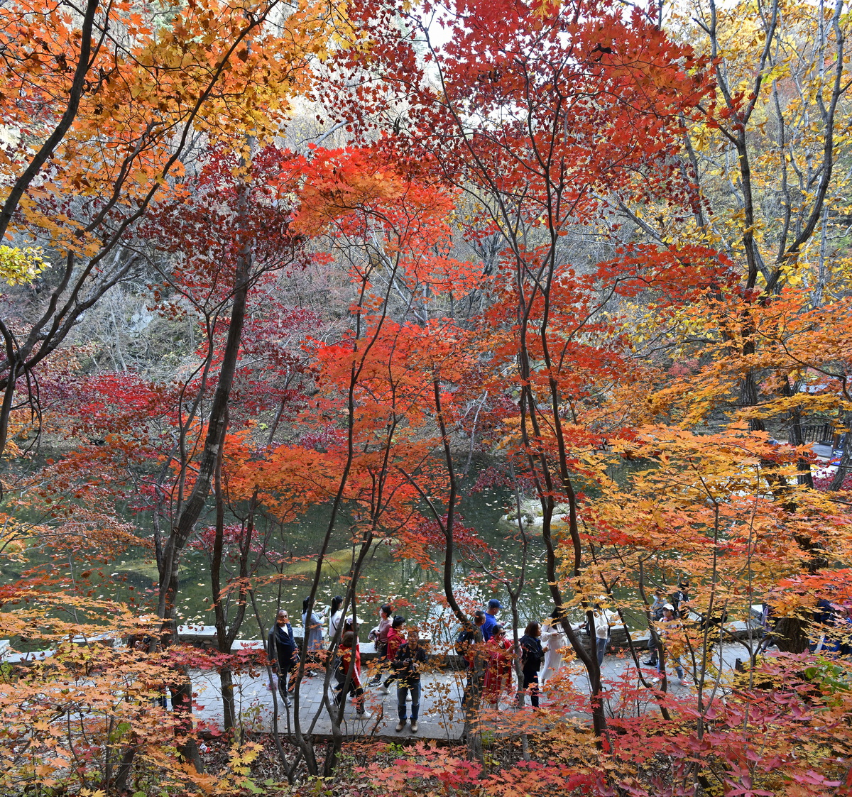 未标题_全景图1_调整大小.jpg