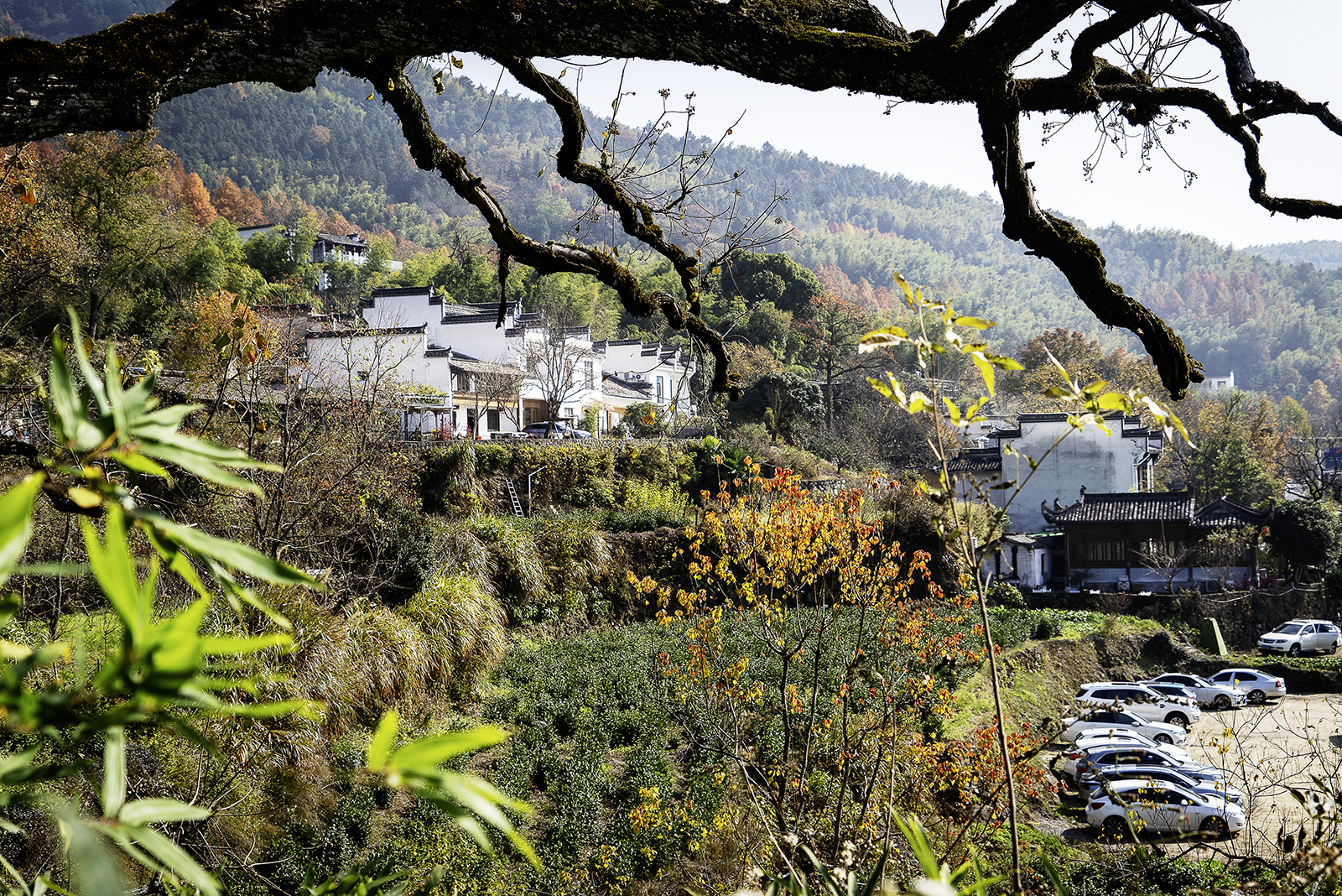 DSC00683《塔川秋色》 3 摄影   陈玉萍  13969413386.jpg