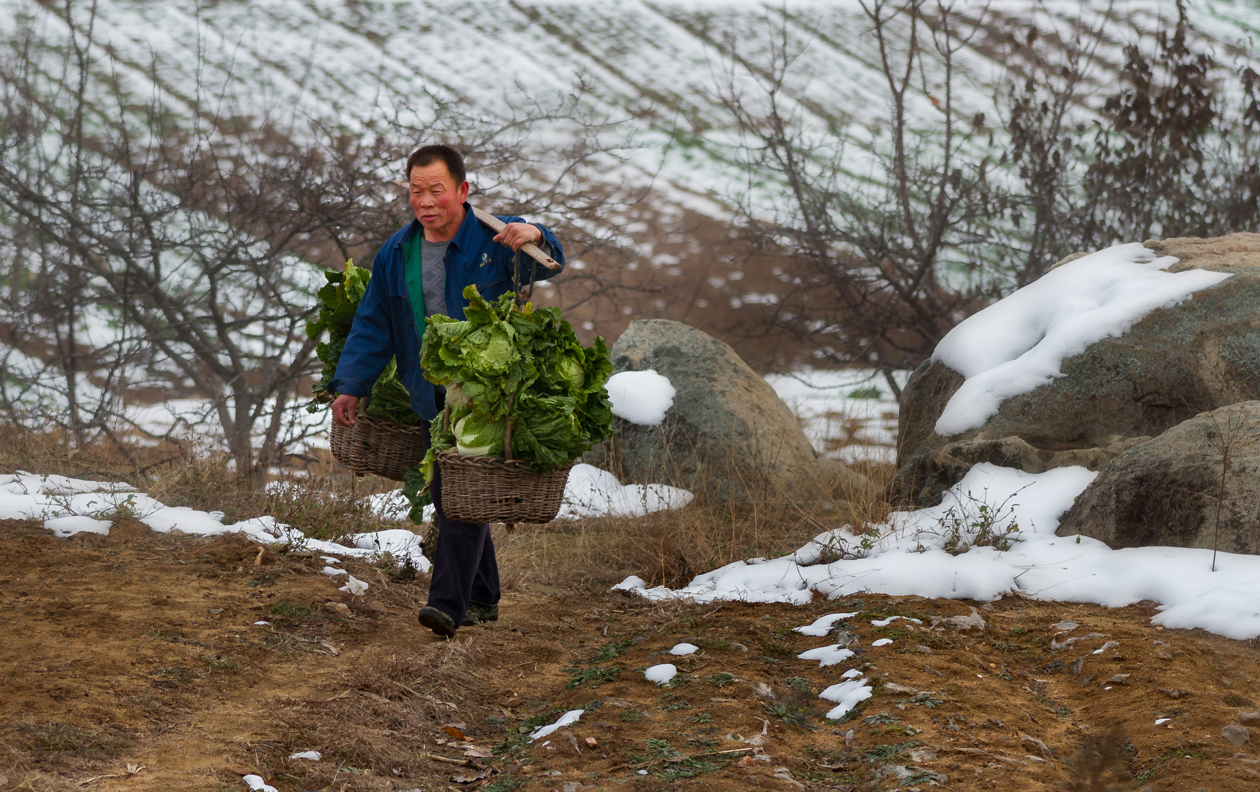 110、《山村瑞雪》IMG_3718--==.jpg