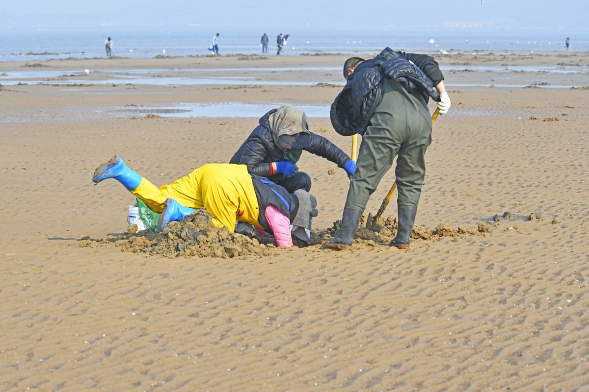 掏海肠  孙家勇  13840868026_5.JPG