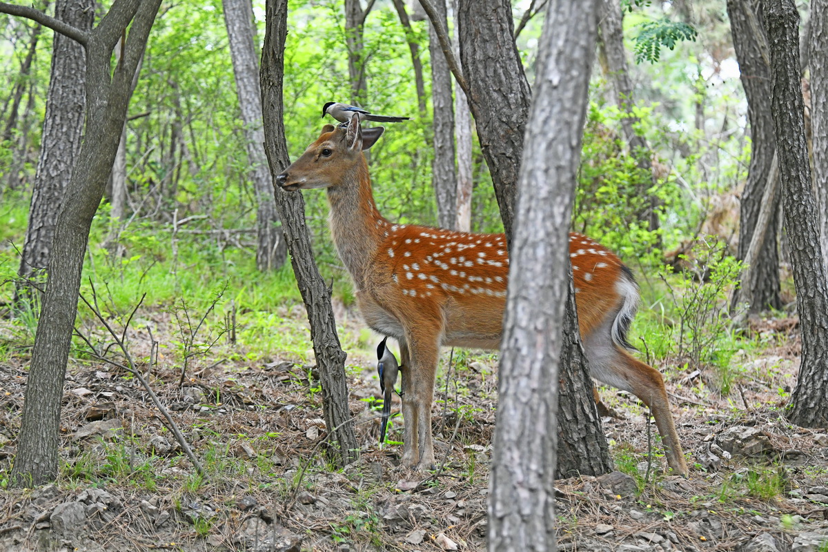 _DSC3872z_调整大小.jpg