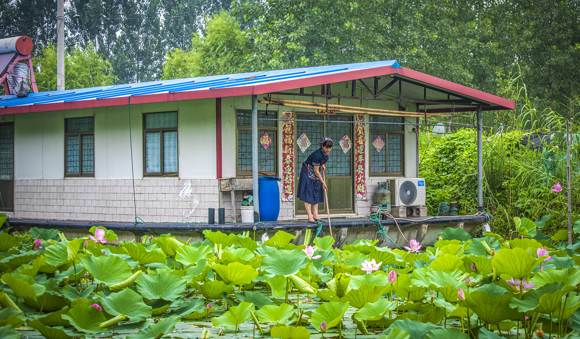 3家居荷花荡 拷贝 2.jpg