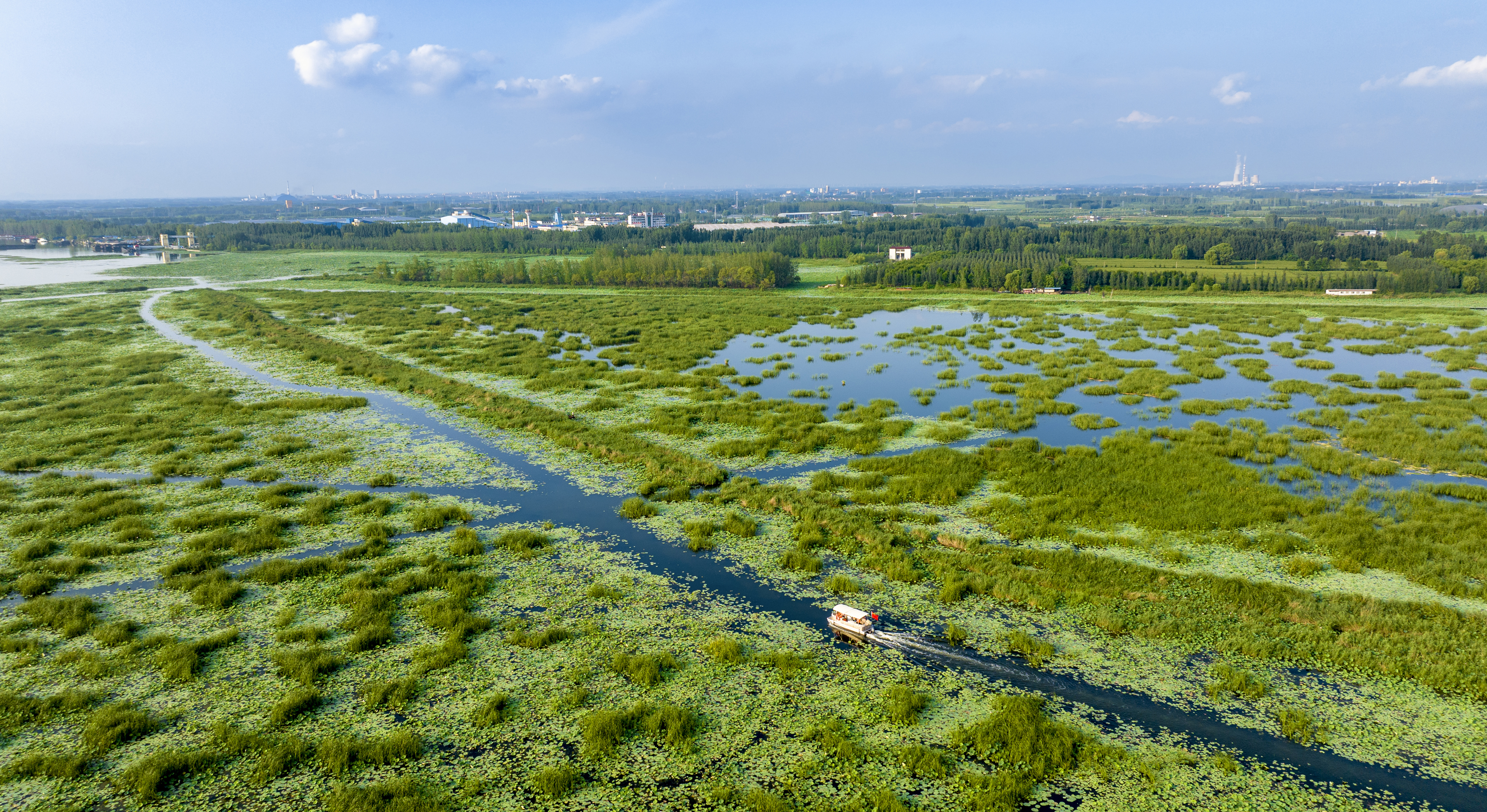 218、《湿地探寻》DJI_20240808172107_0008_D 拷贝.jpg