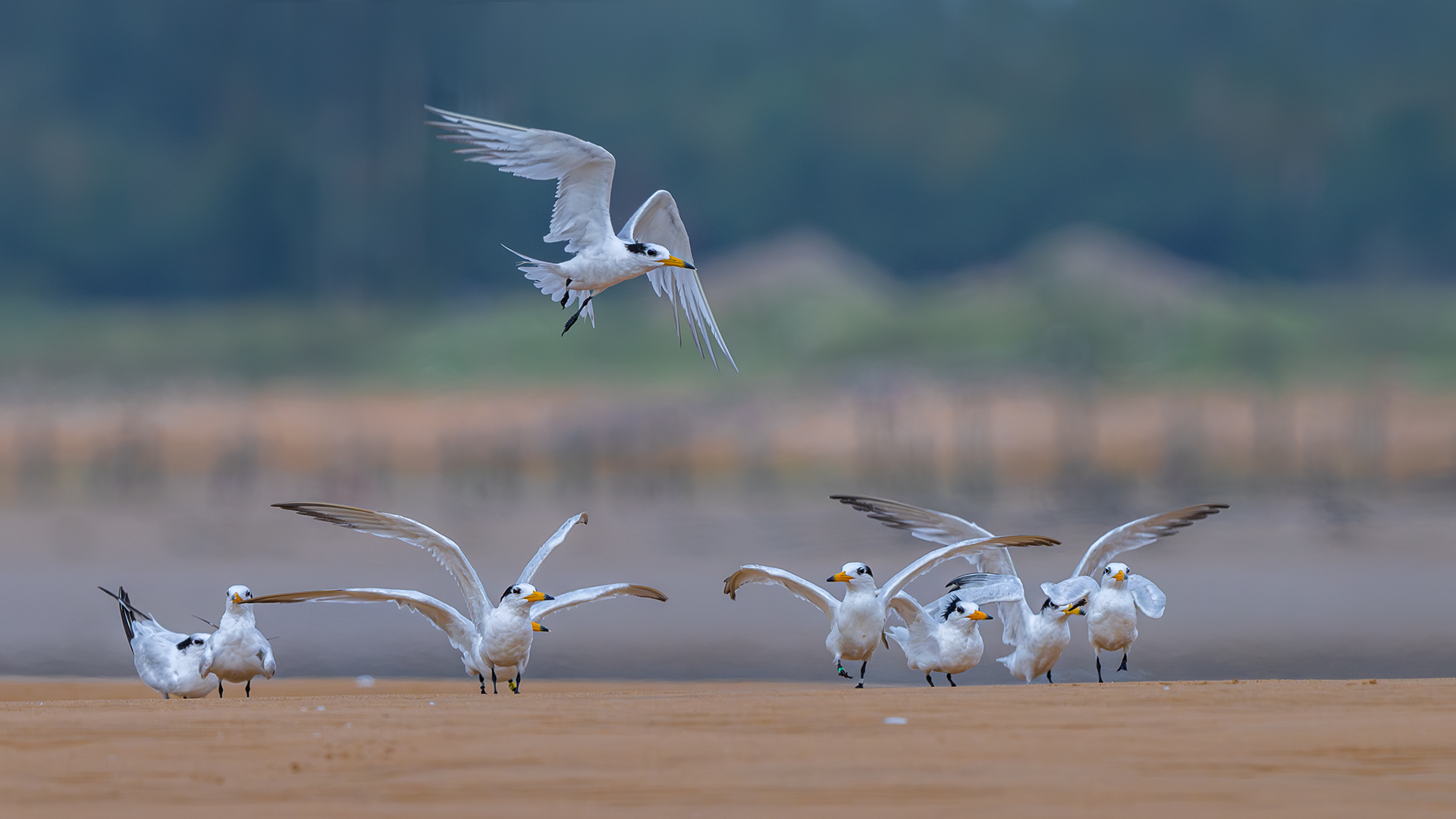 _DSC7715-小.jpg