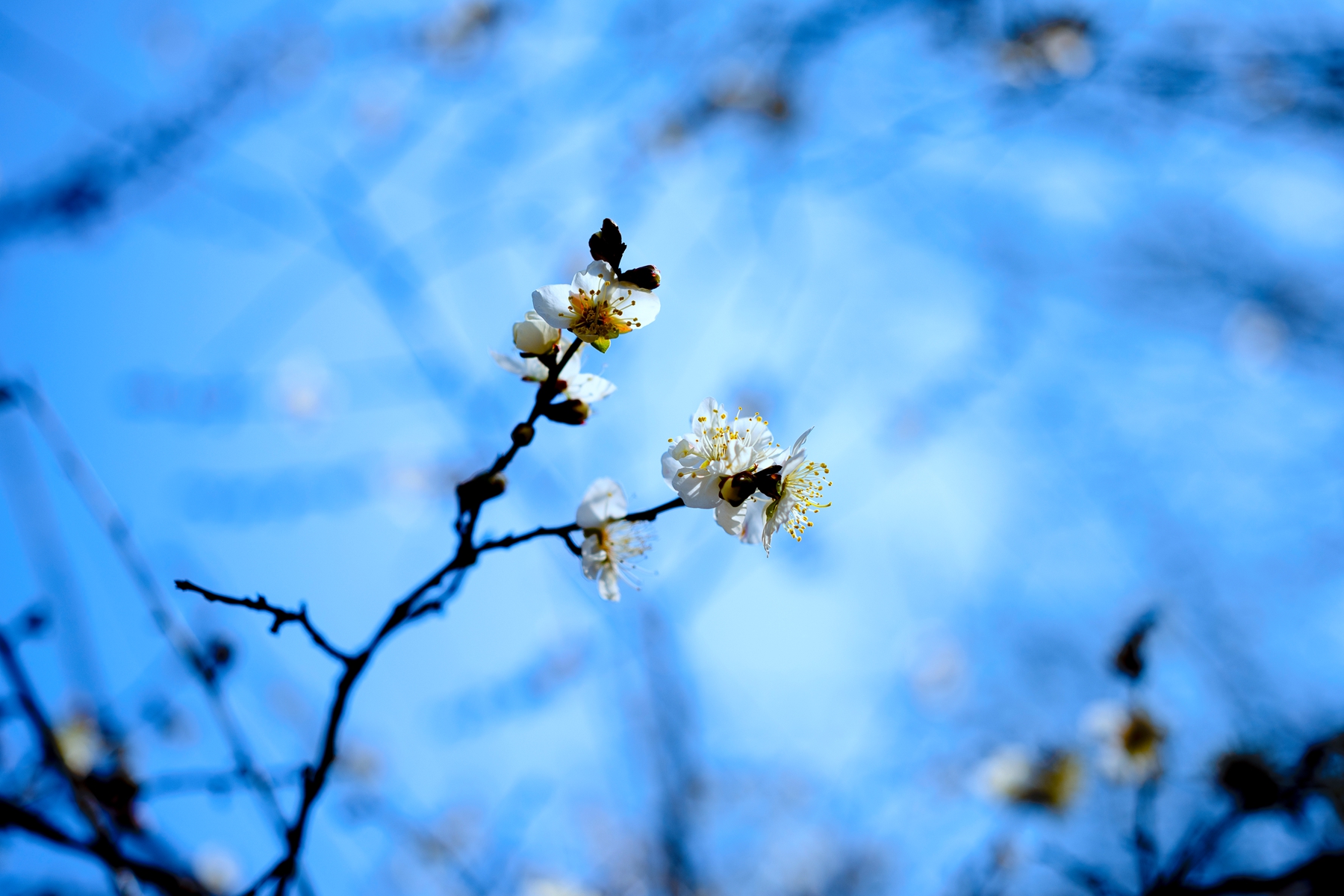 7H1A9337.jpg