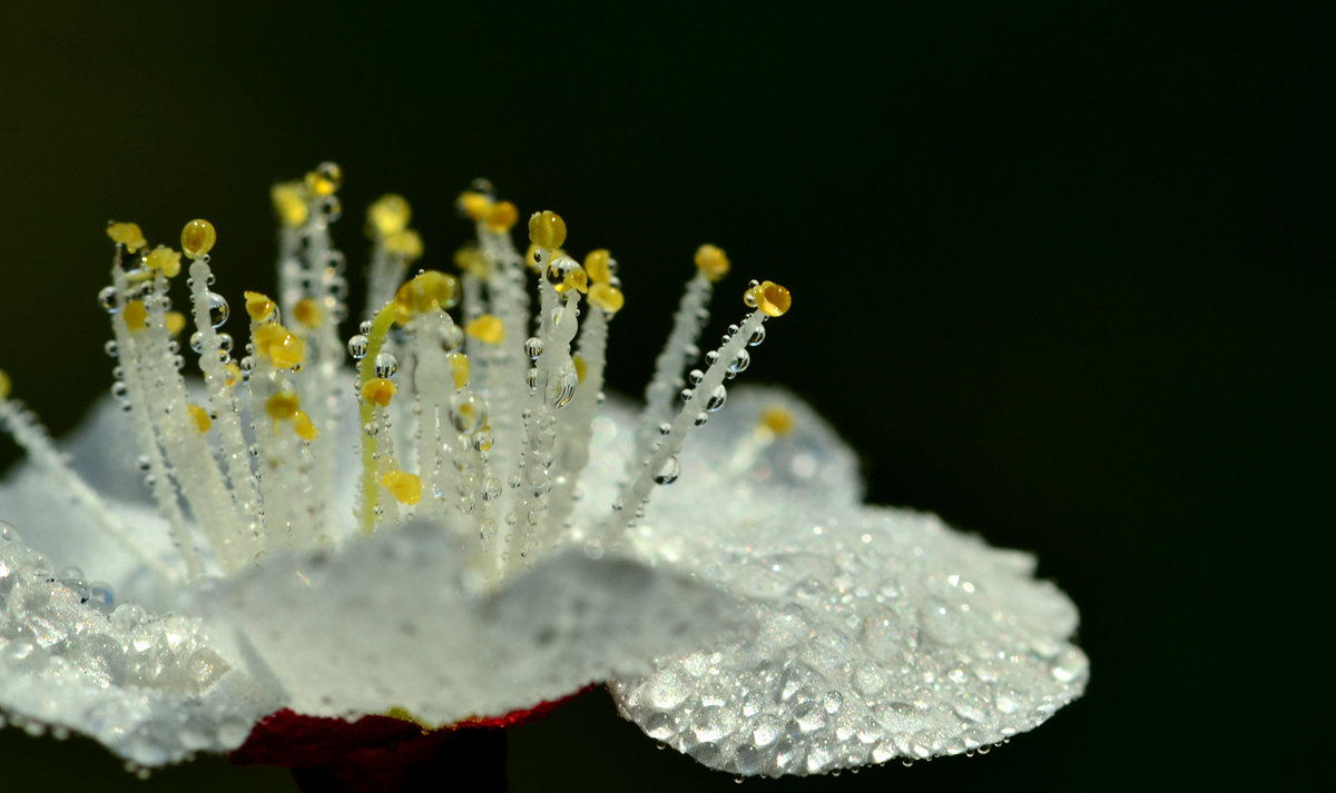 DSC_8227_副本.jpg