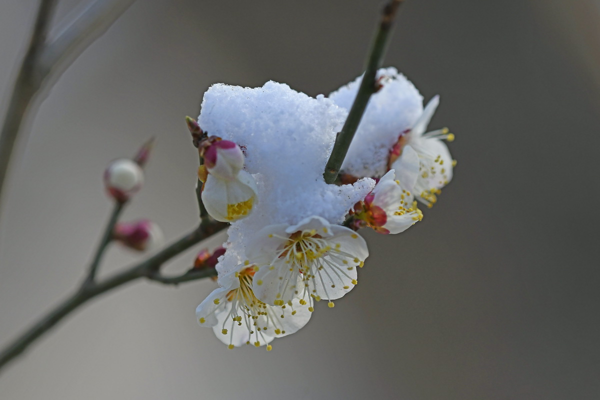 _DSC4364s_调整大小.jpg