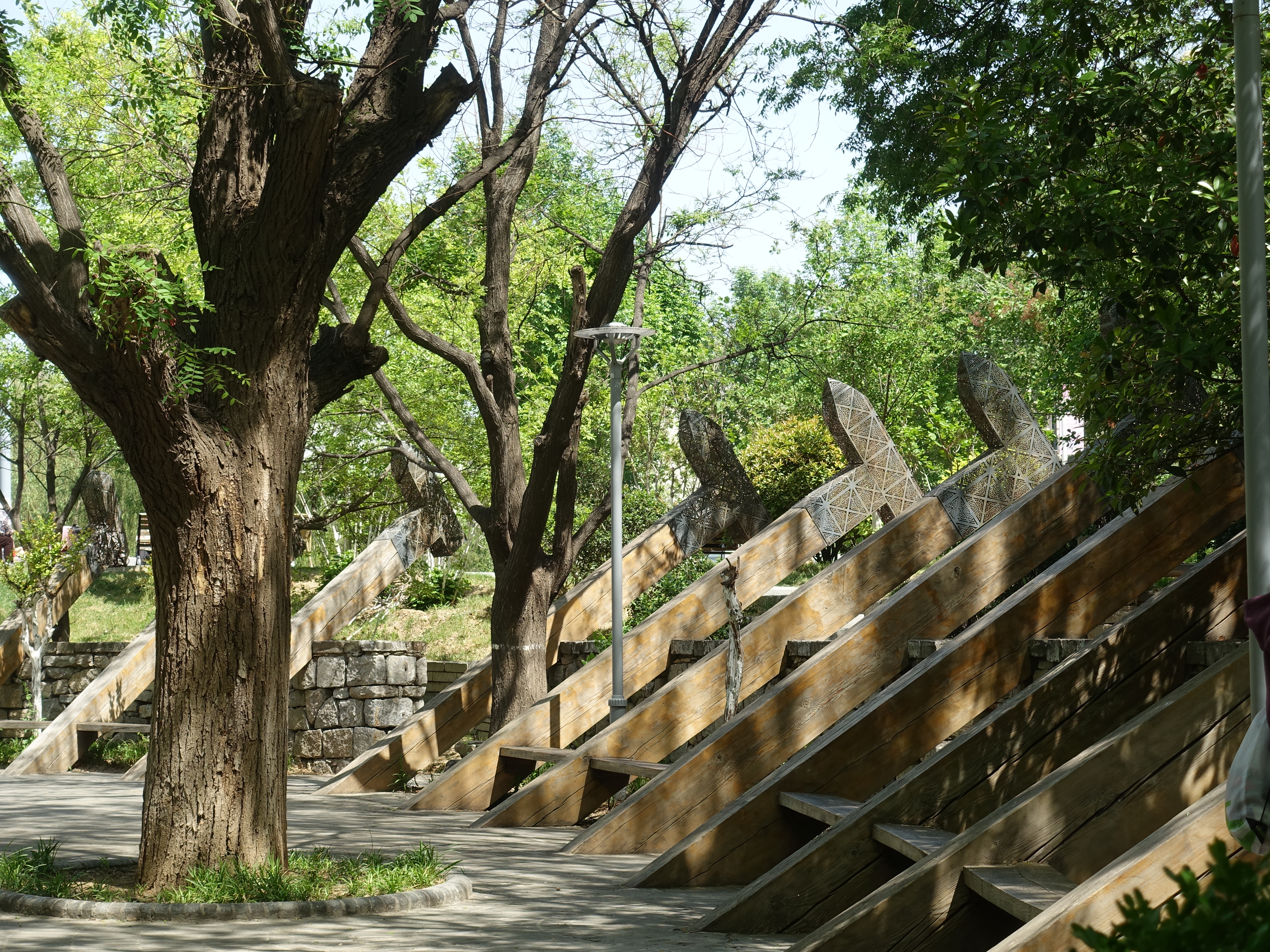 DSC09077.JPG
