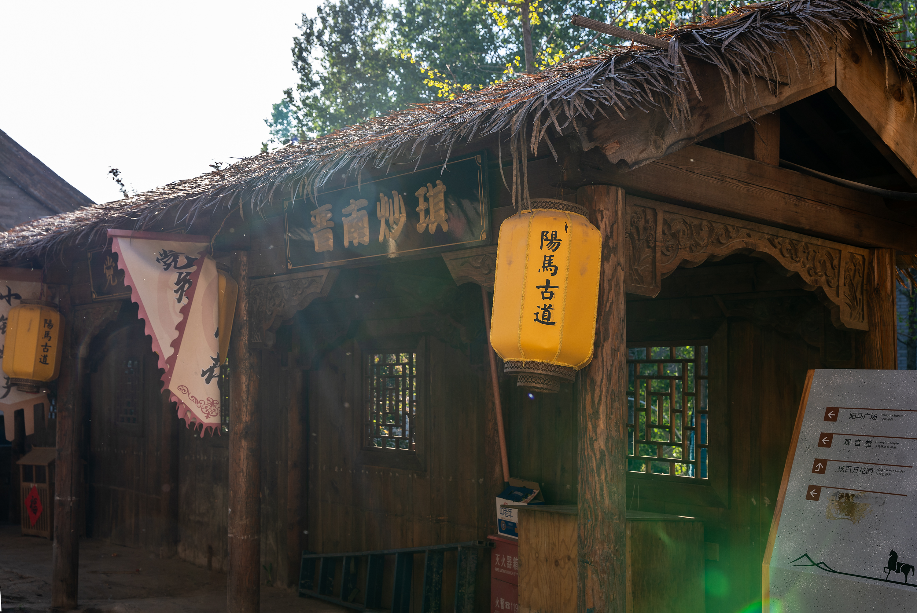 DSC02201-2.jpg
