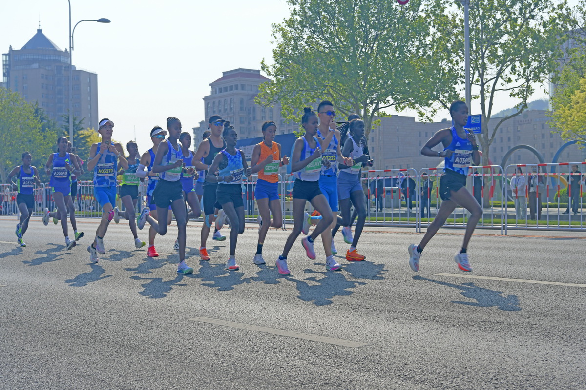 _DSC7656_调整大小.JPG
