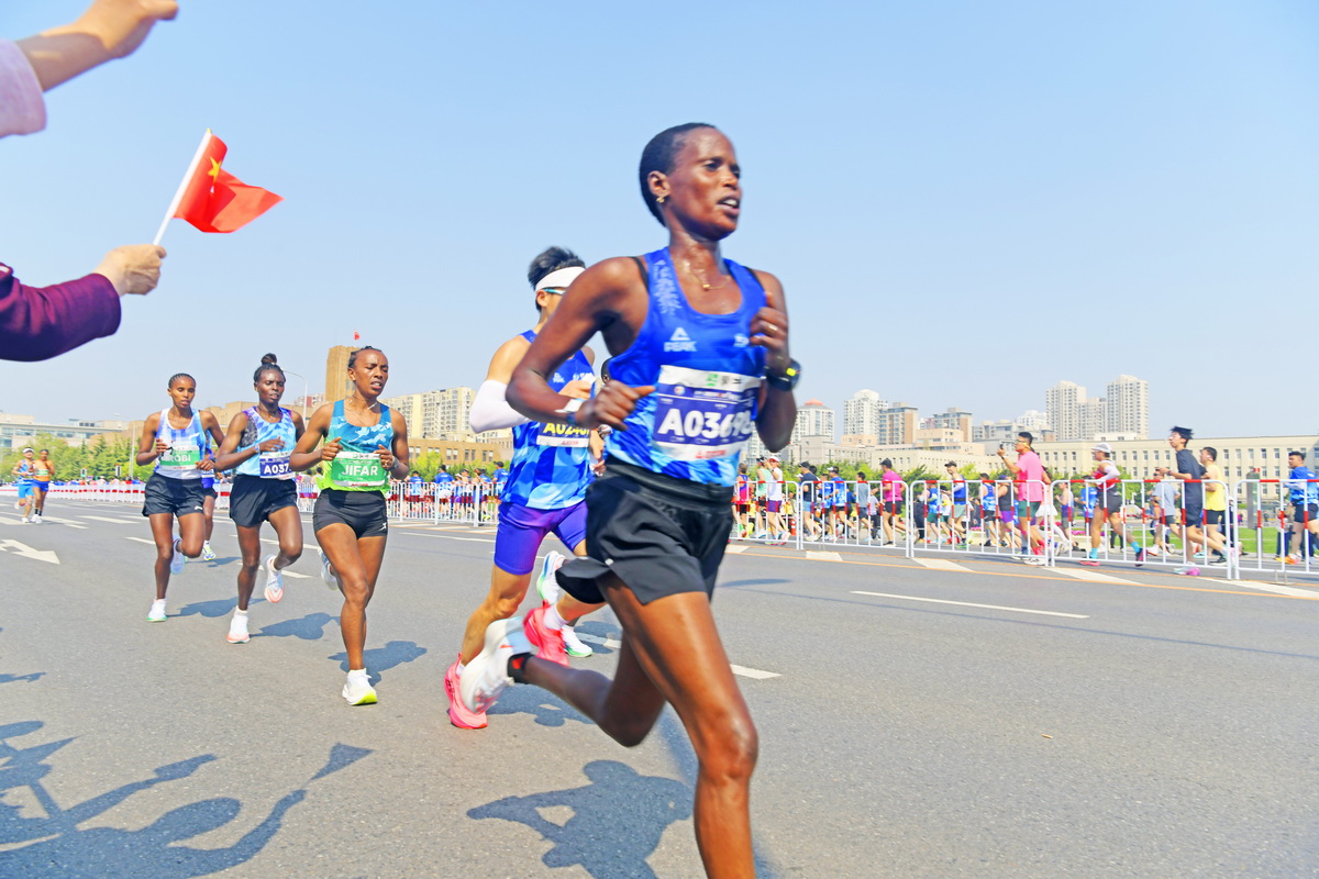 _DSC7768_调整大小.JPG