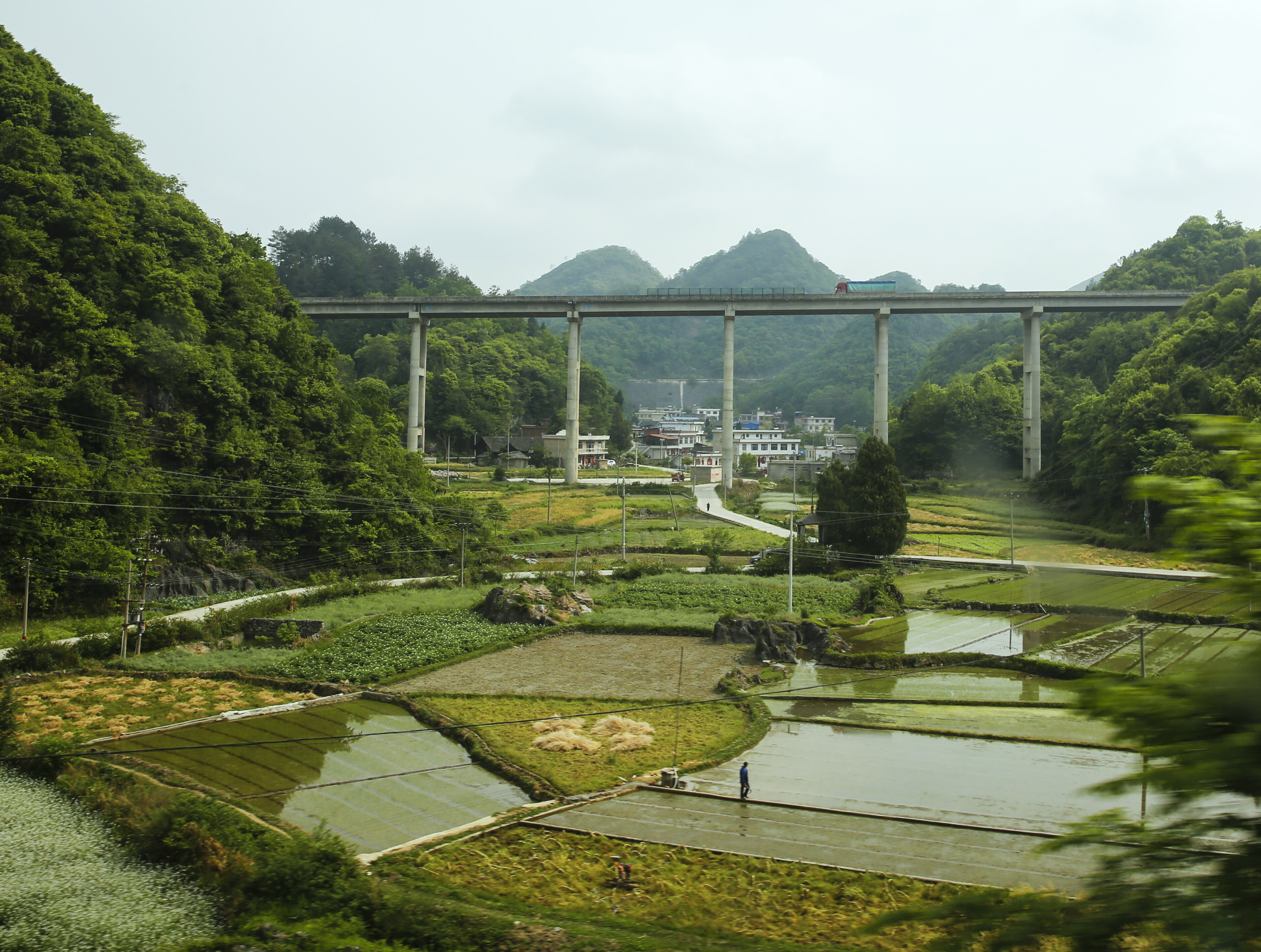 _39A0218.JPG