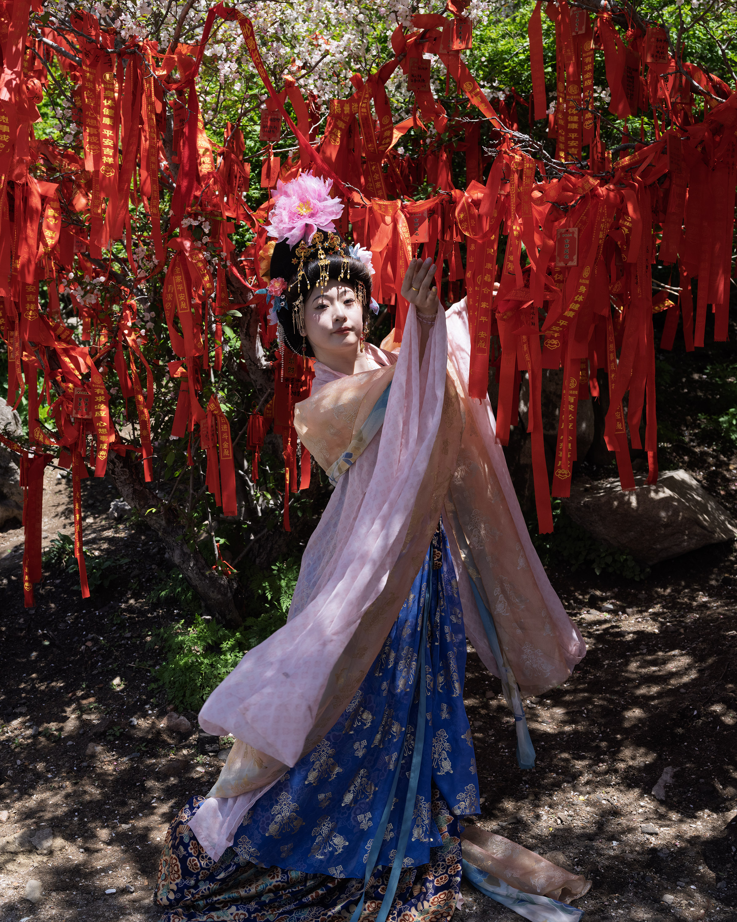 DSCF4694g3000.jpg