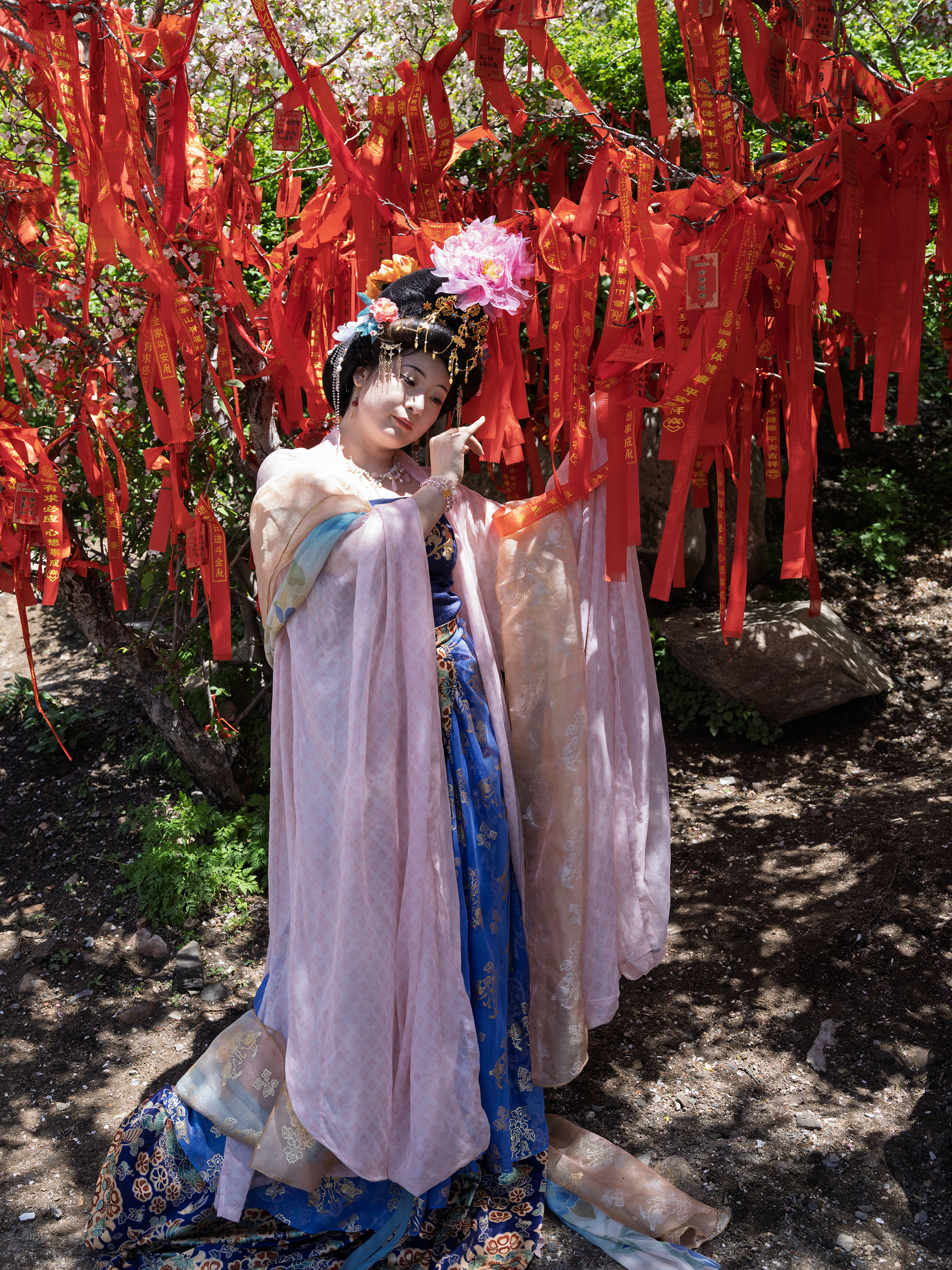 DSCF4715g3000.jpg