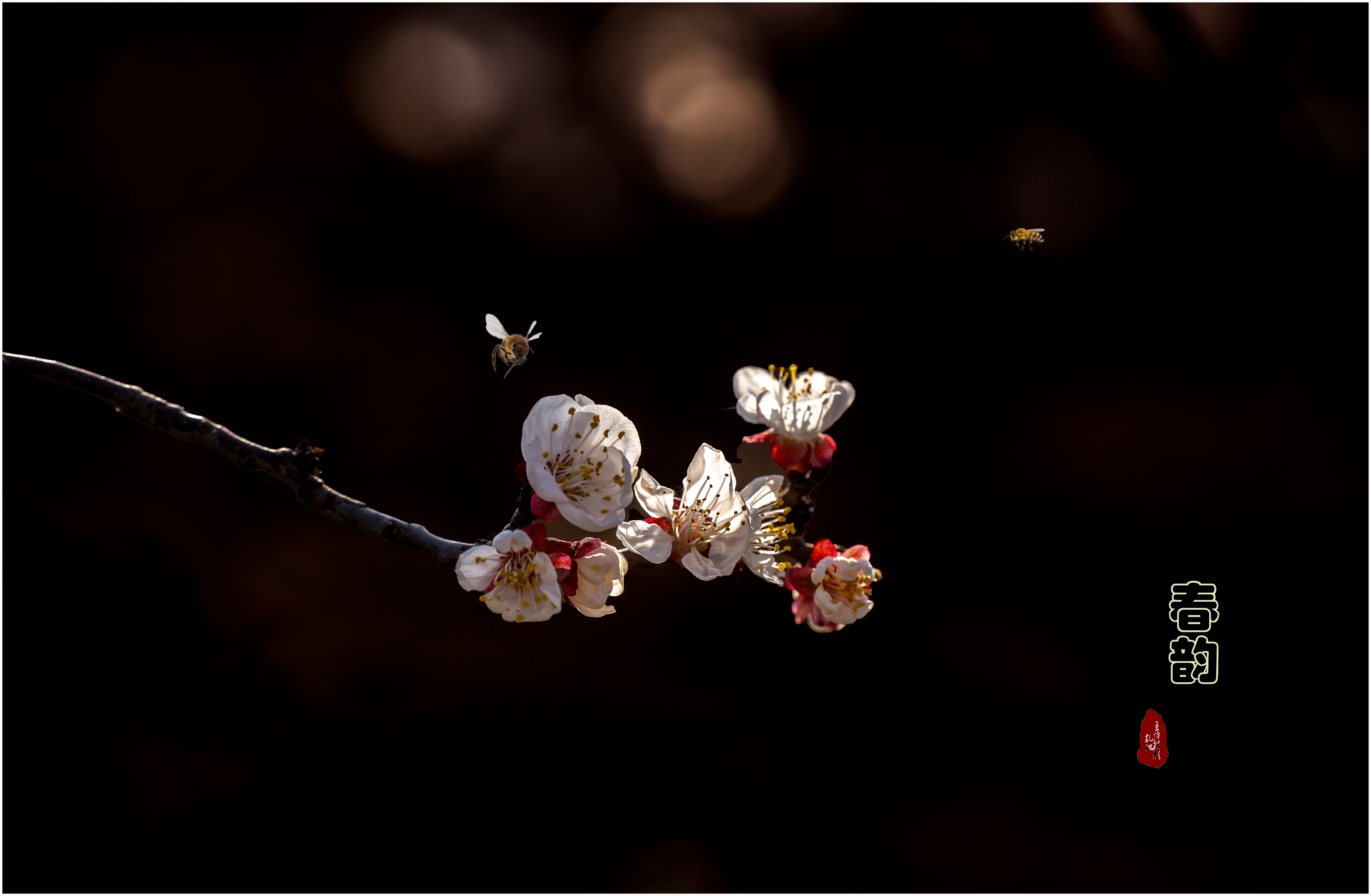 DSC09872-1.jpg