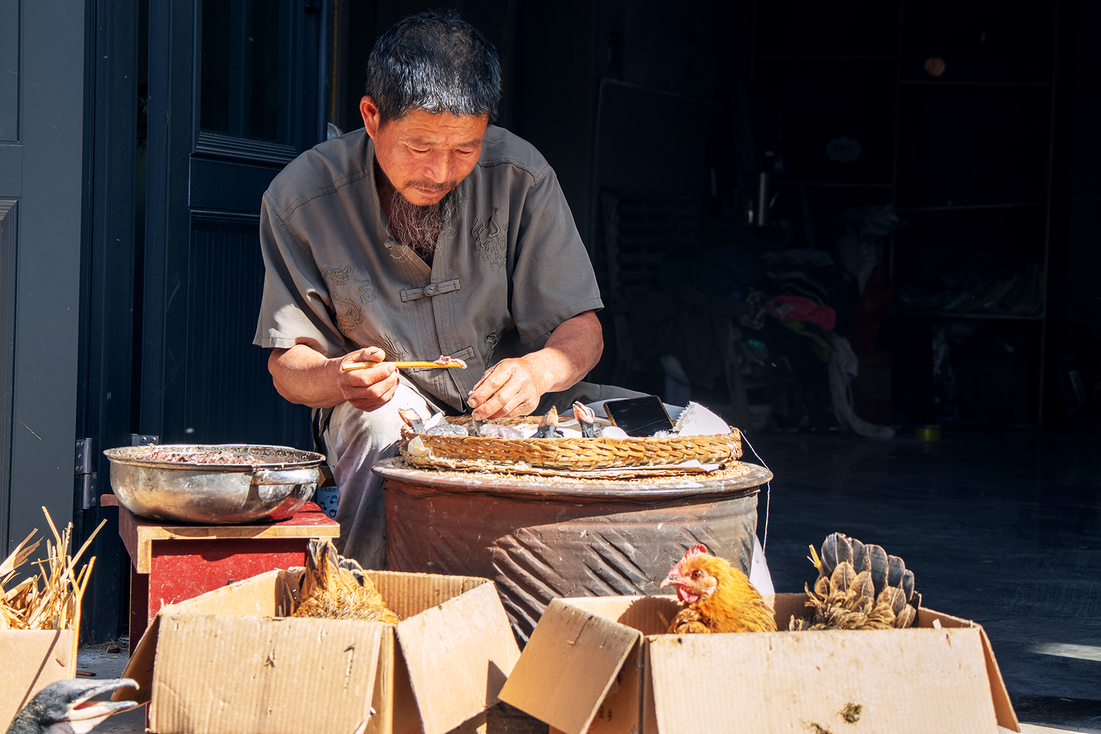 IMG_0663 3  《喂食小雏鹰》  2024·04·24 振庆摄影.jpg