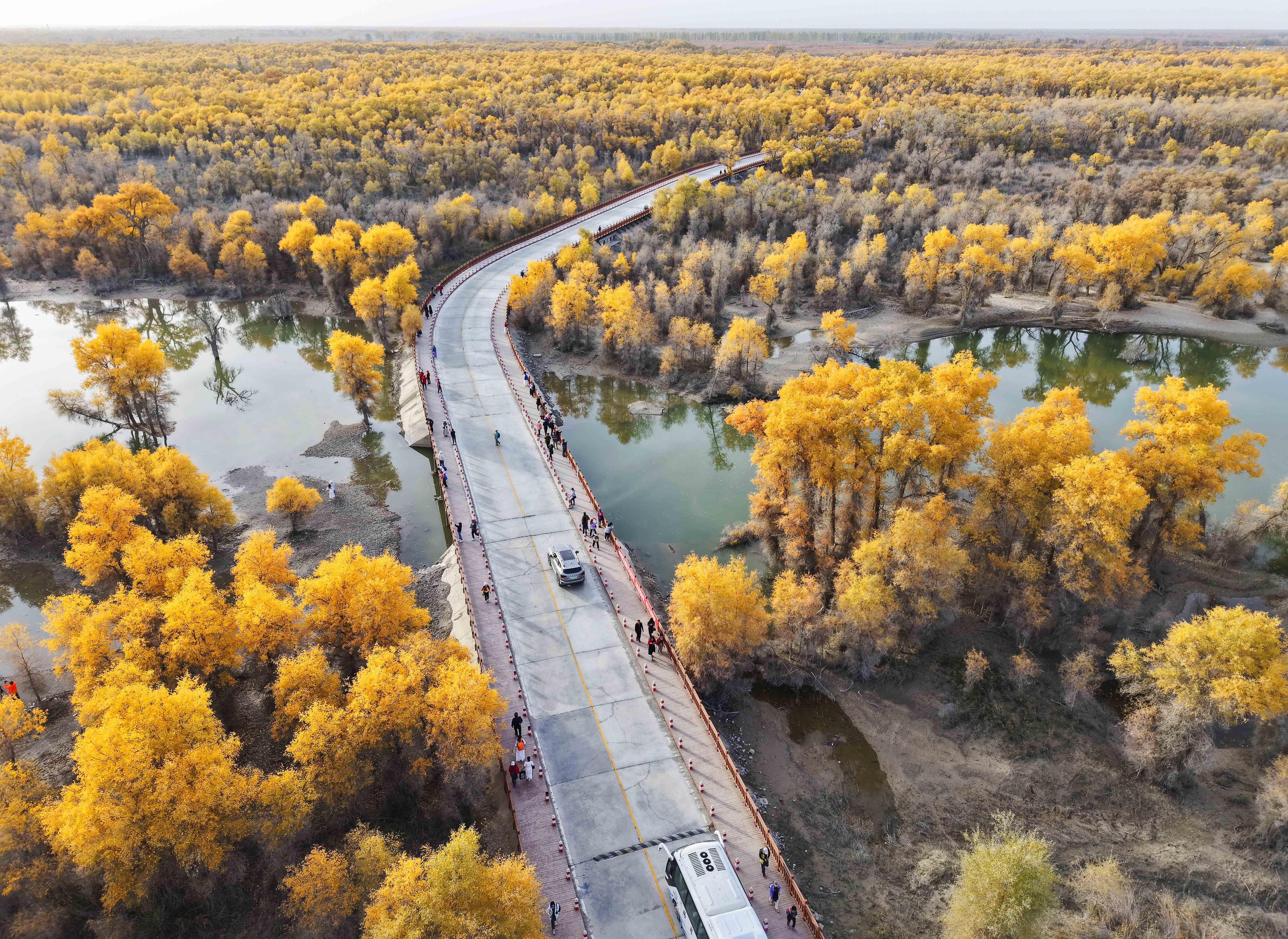 DJI_20241027175636_0119_D.JPG