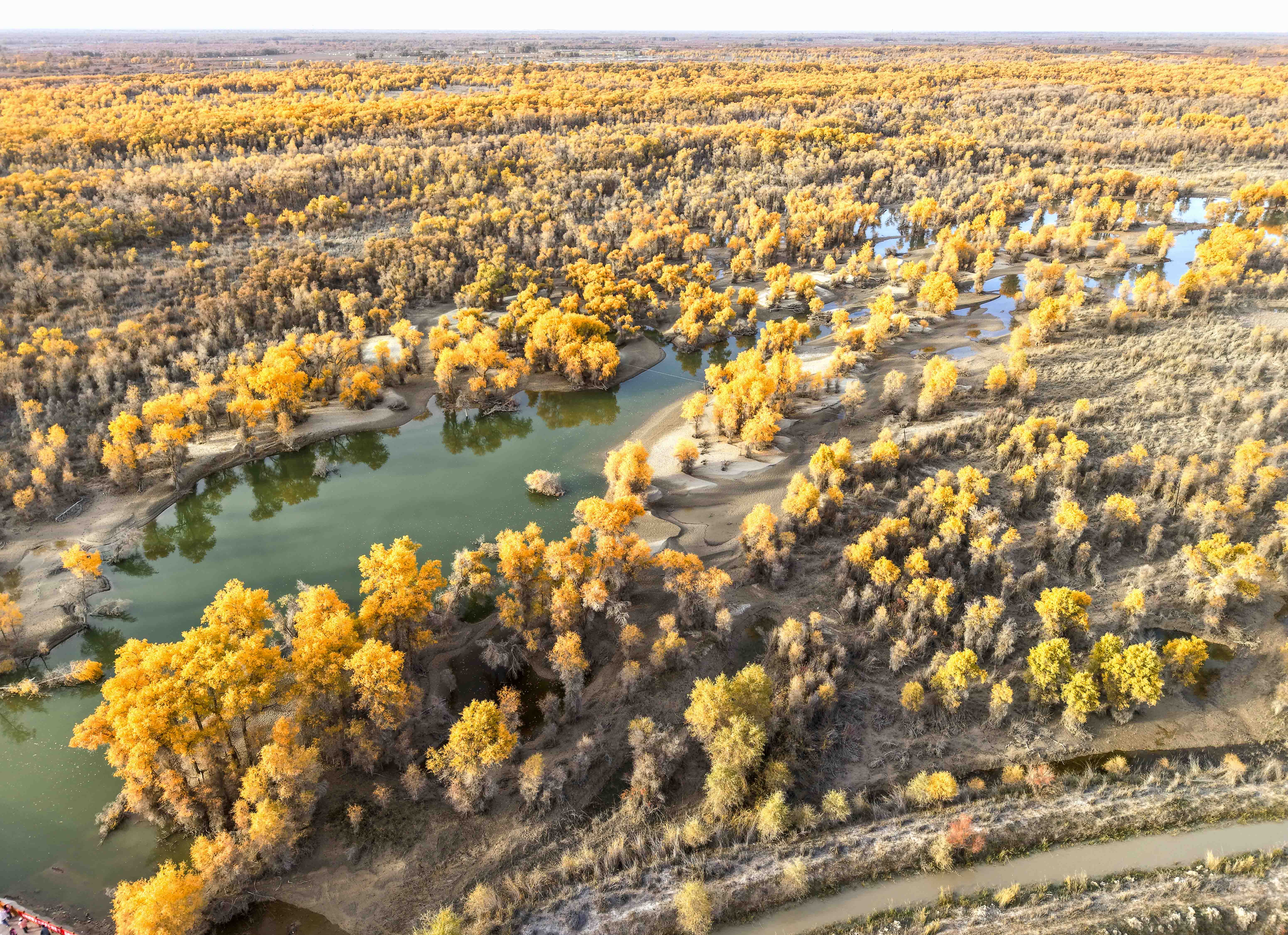 DJI_20241027175532_0116_D1.jpg
