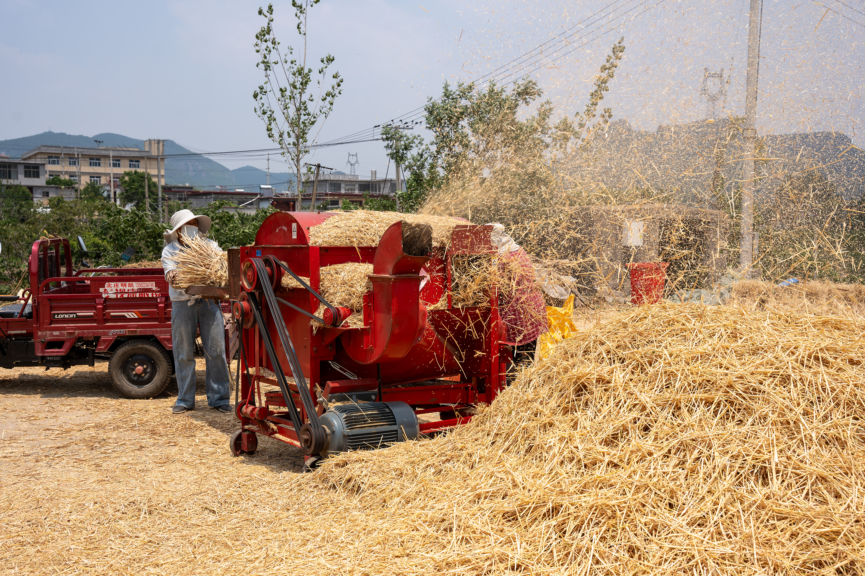 DSC03081-2.jpg