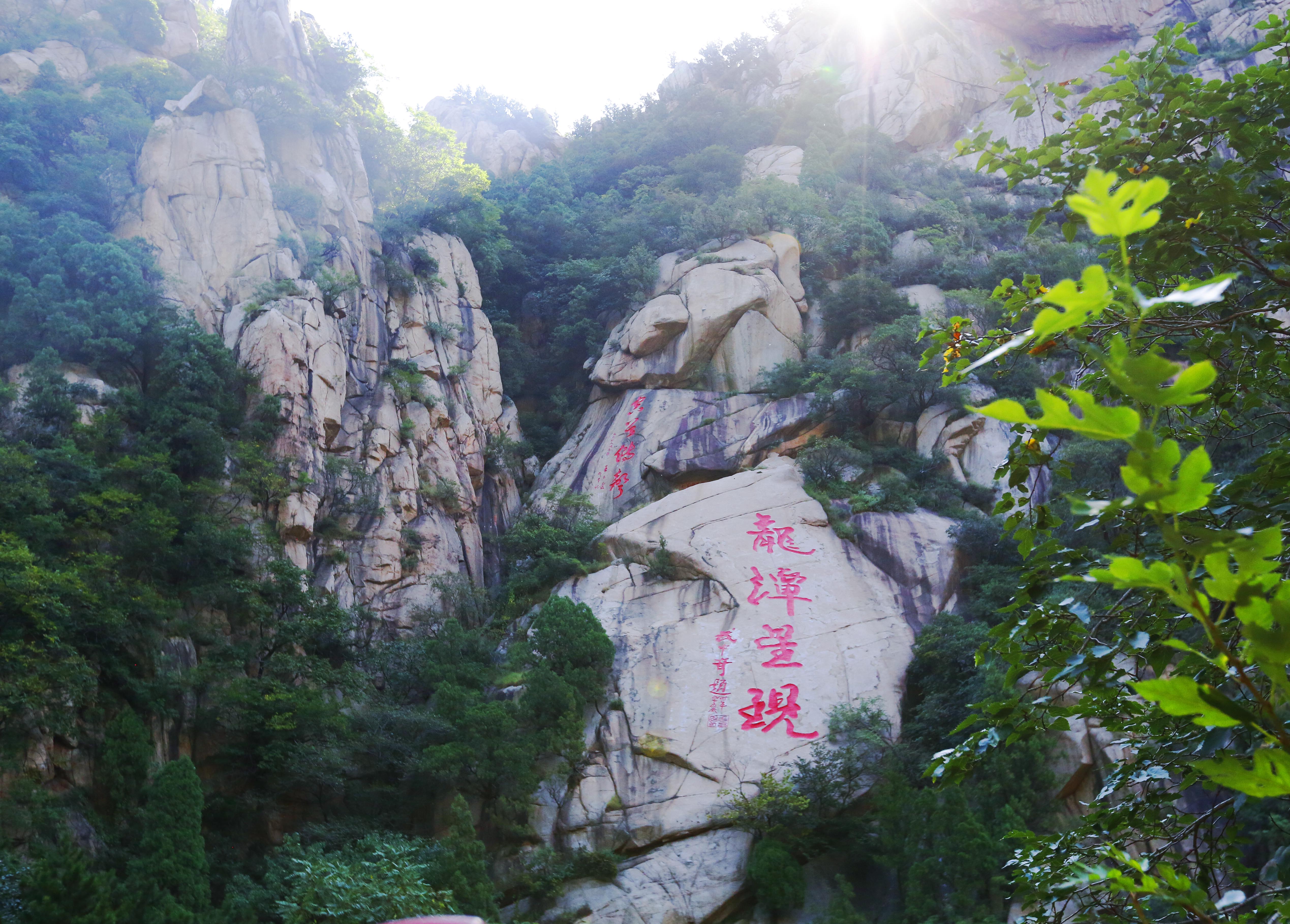_39A0880.JPG