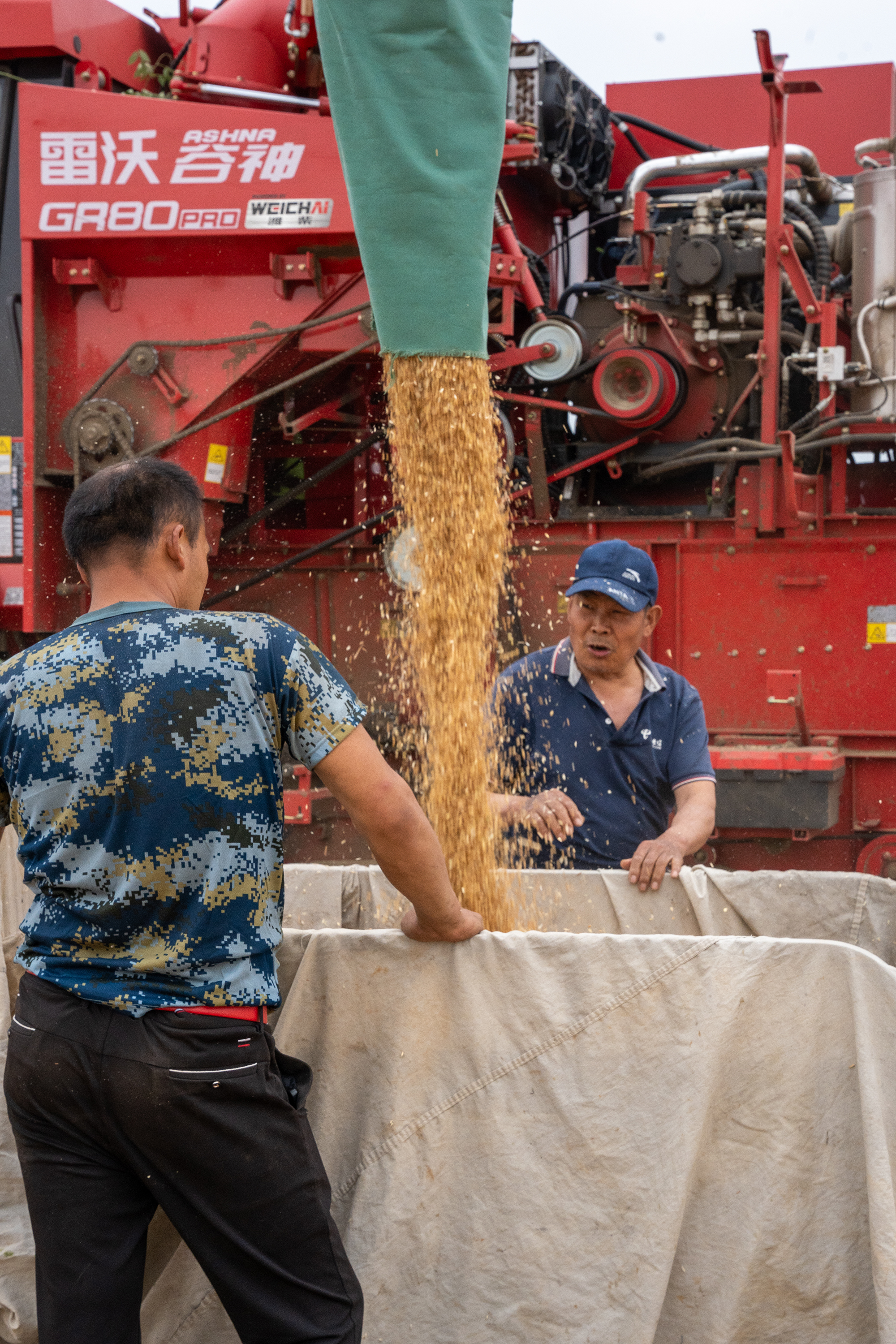 DSC02651-2.jpg