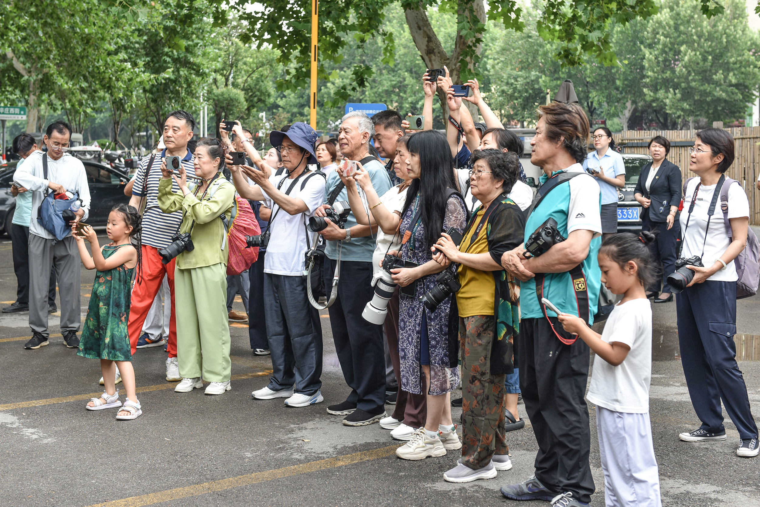 DSC_0467_proc.jpg