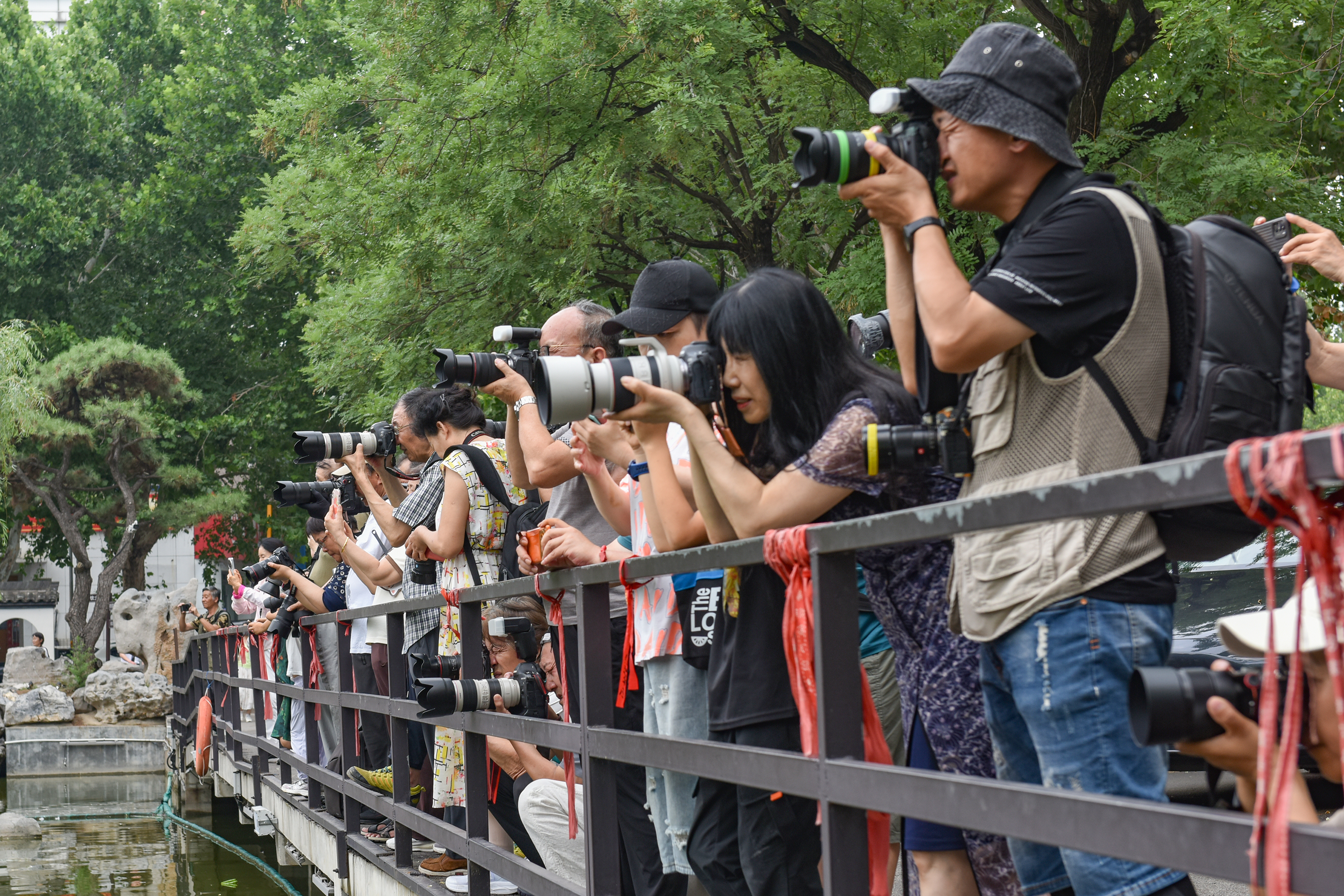 DSC_0529a.jpg