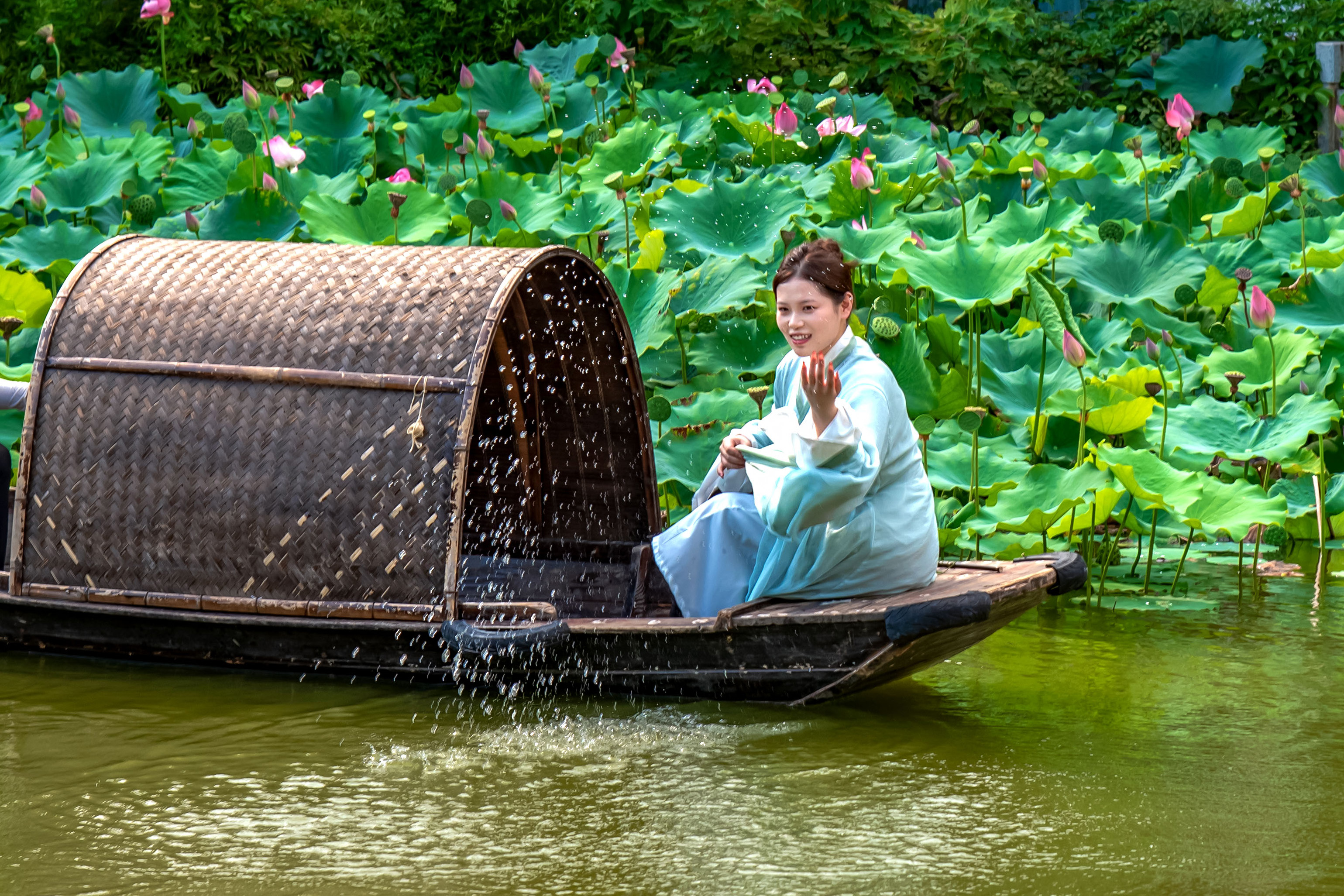 荷塘戏水
